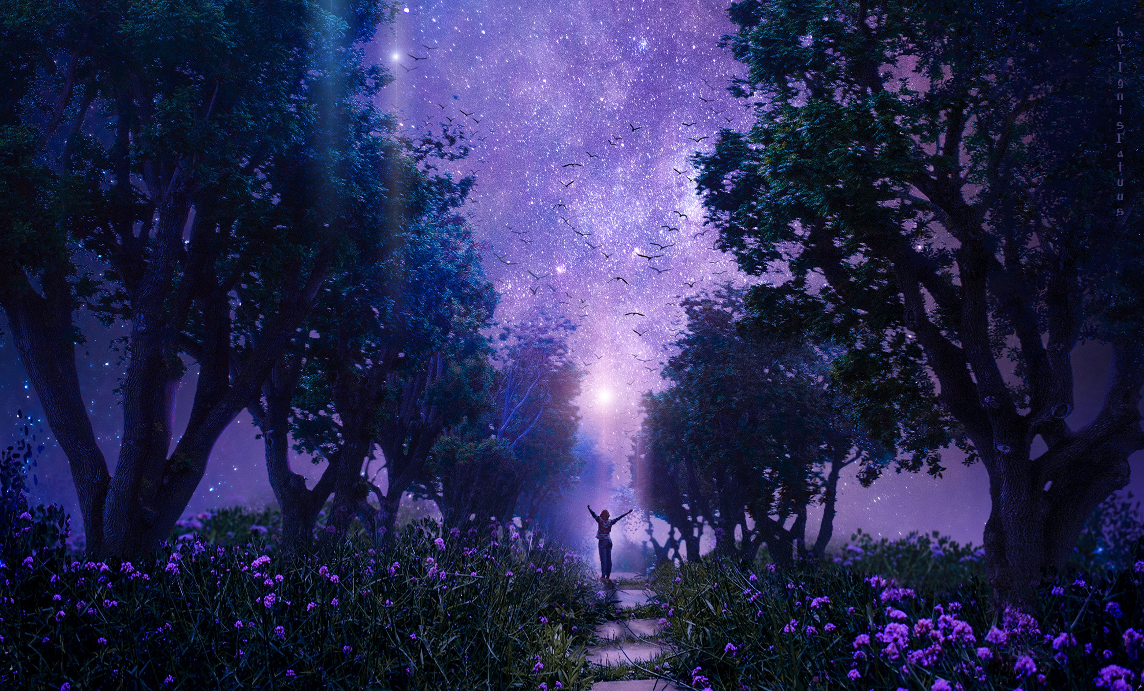 fairy, starry sky, art, fantasy, purple, violet, forest, fabulous