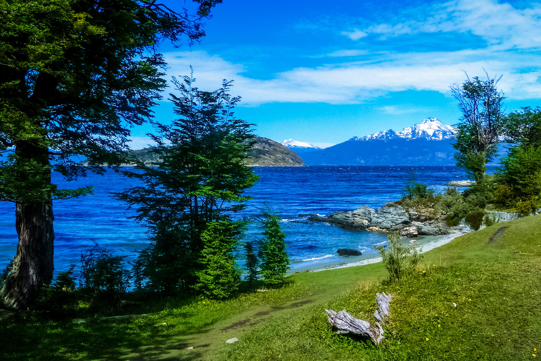 378542 descargar imagen argentina, tierra/naturaleza, lago, montaña, árbol, lagos: fondos de pantalla y protectores de pantalla gratis