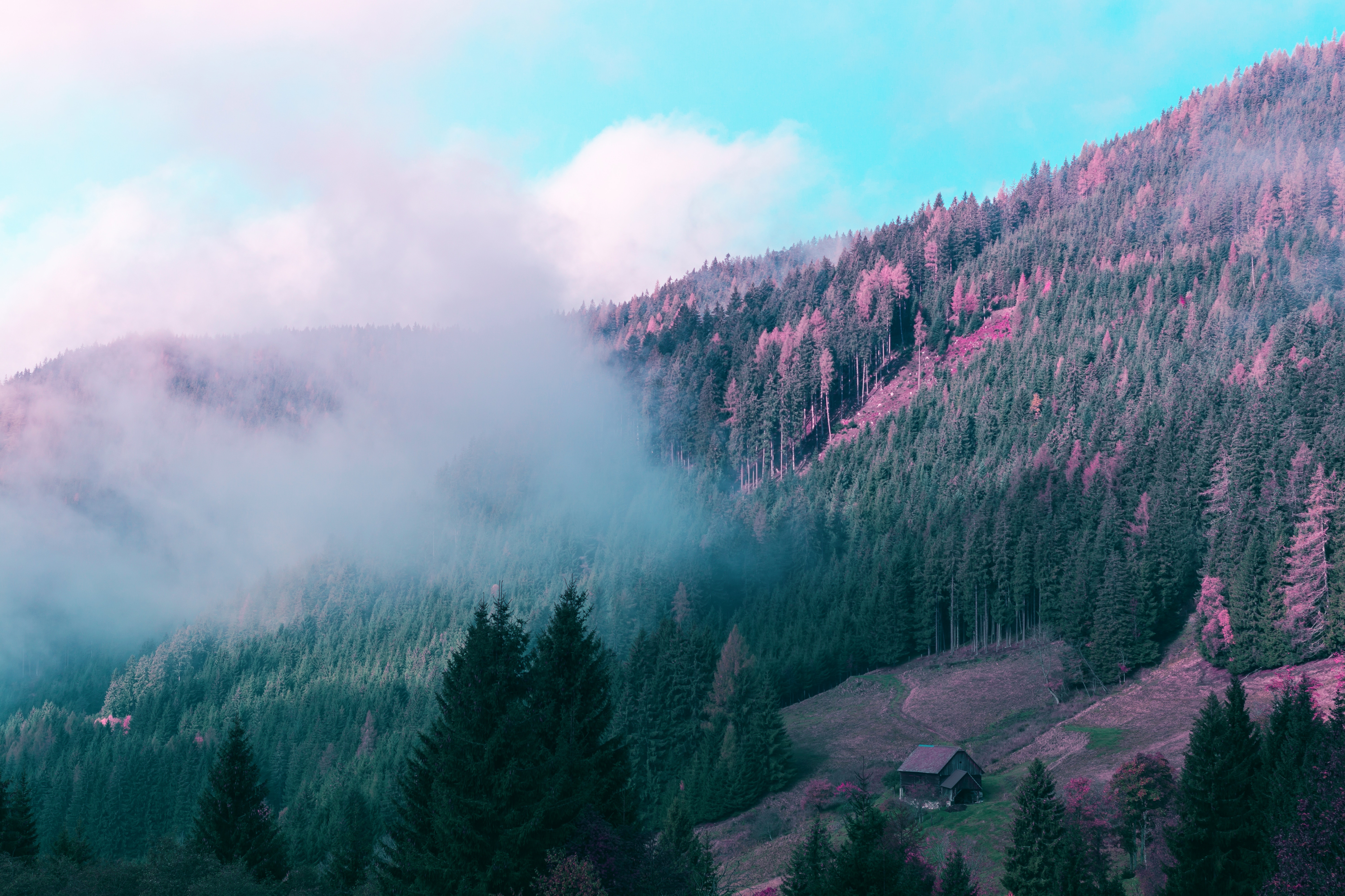 nature, trees, mountains, forest, fog, small house, lodge
