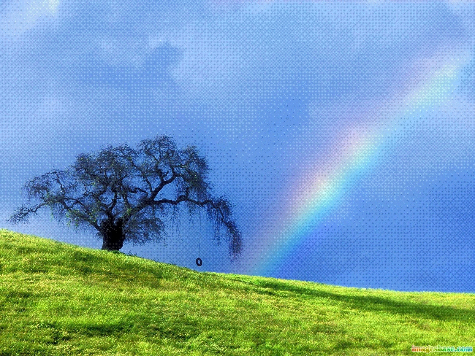 Download mobile wallpaper Sky, Grass, Landscape, Trees, Rainbow for free.