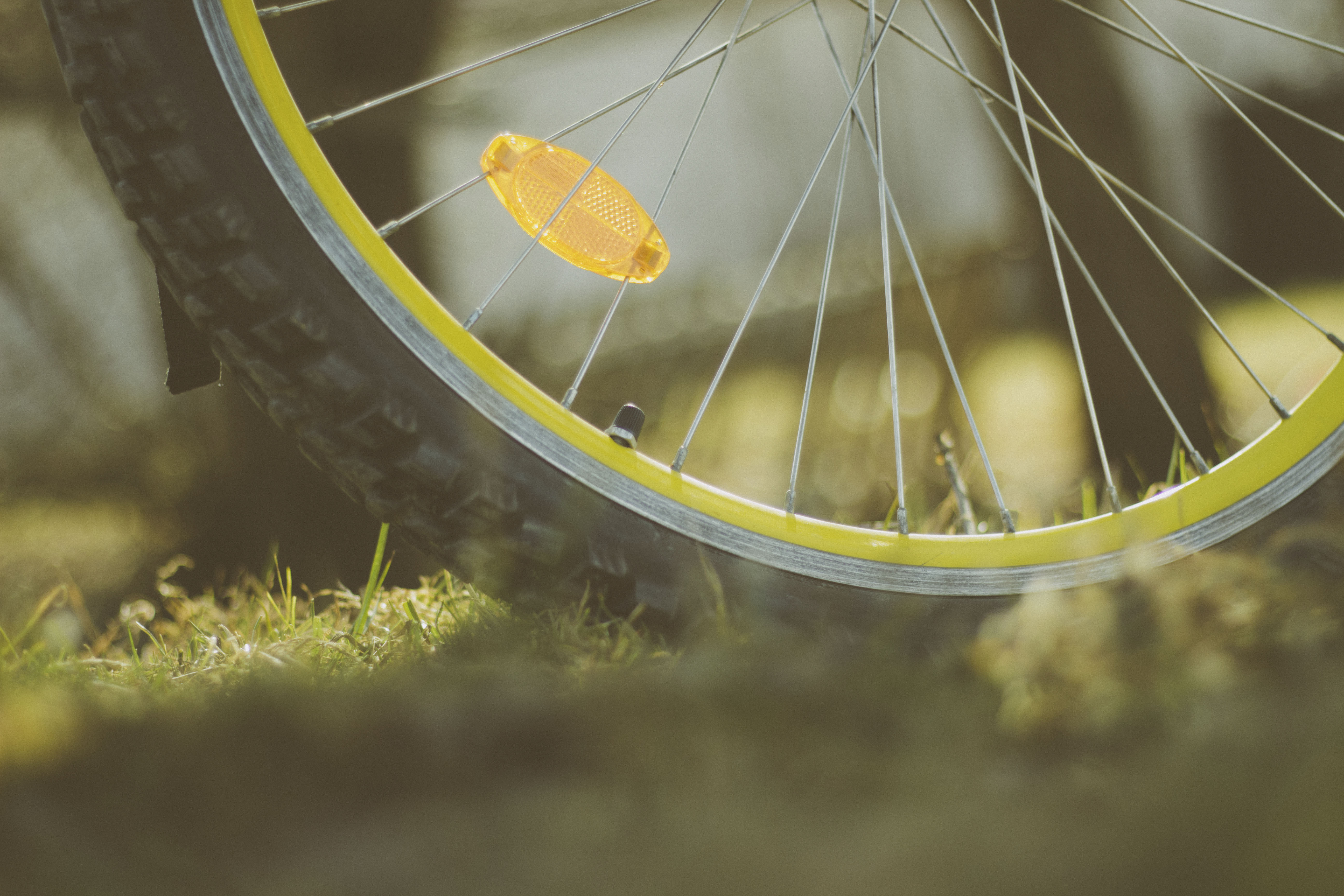 miscellanea, miscellaneous, wheel, bicycle, spokes HD wallpaper