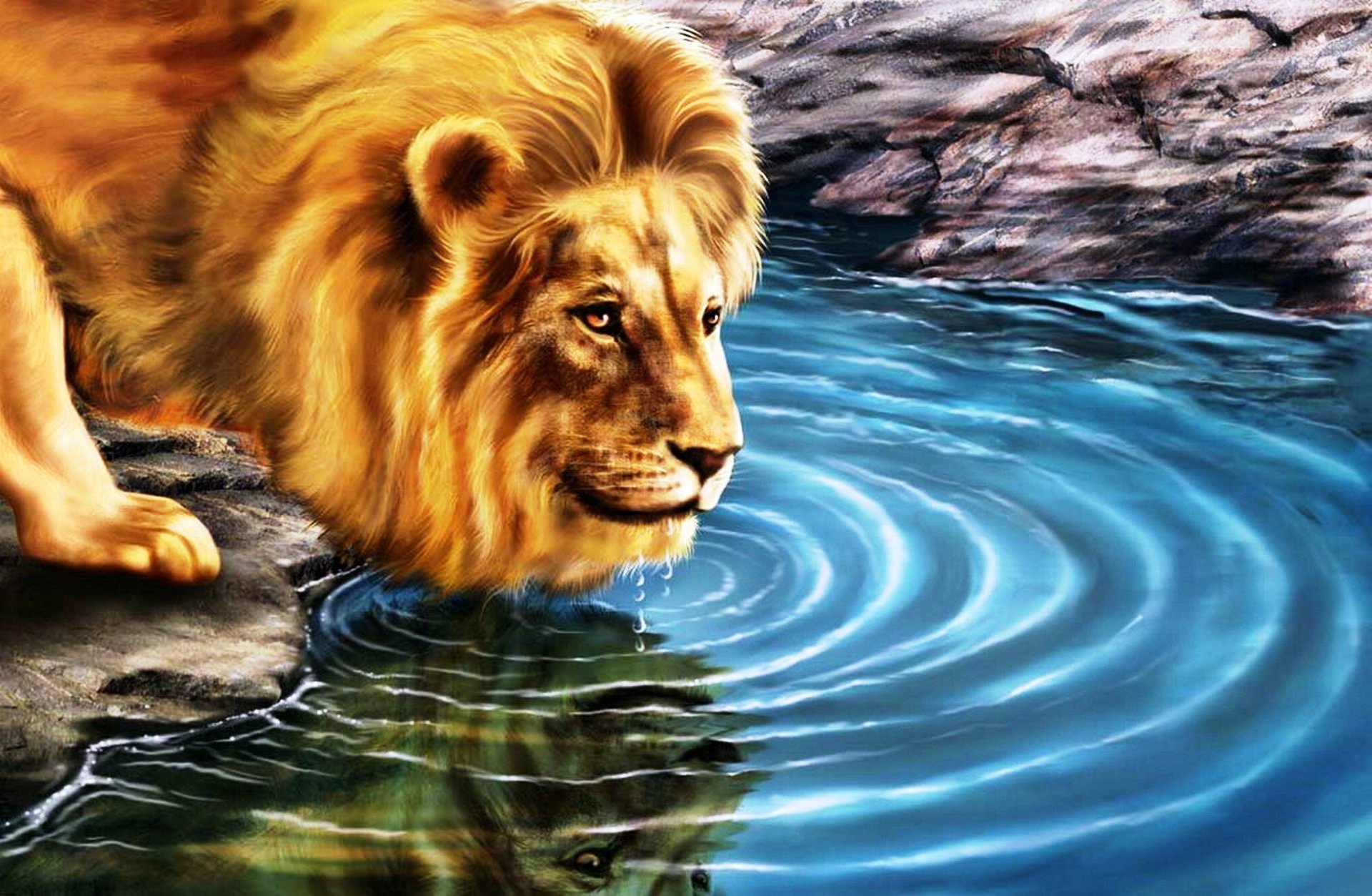Лев в воде картина