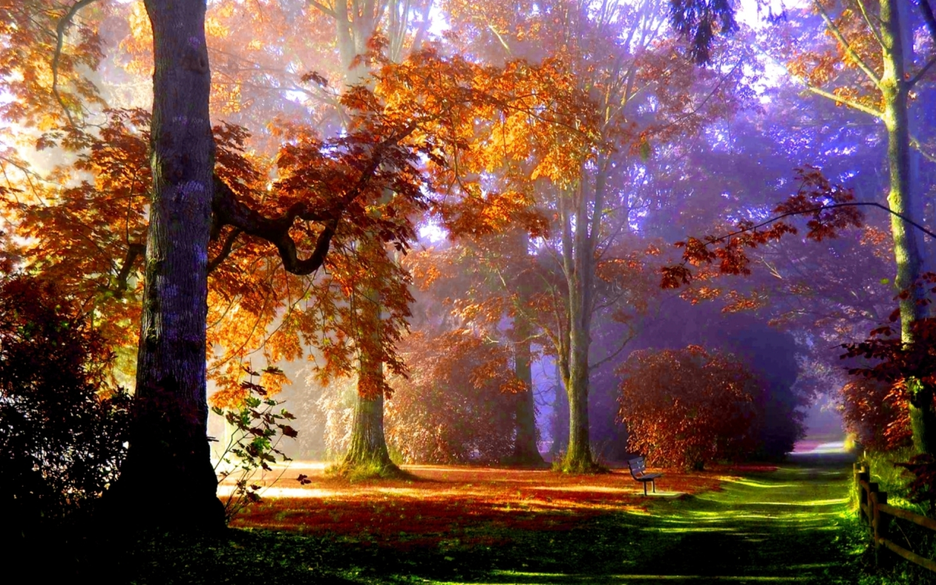 Autumn is beautiful. Сказочный осенний лес. Сказочная осень. Природа осень Сказочная. Сказочная осенняя дорога в лесу.