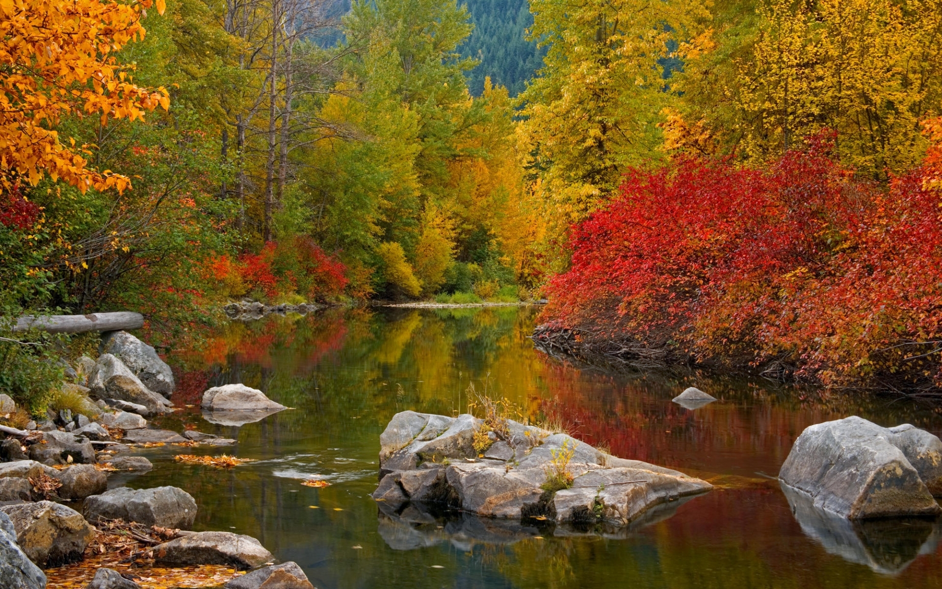 Download mobile wallpaper Stones, Rivers, Landscape, Autumn for free.