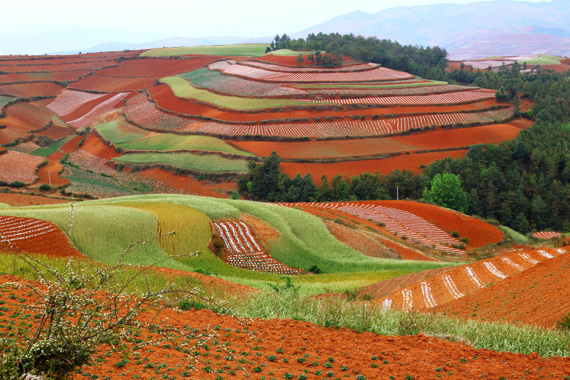 Антропогенные ландшафты. Красные земли Дончуань Китай. Долина Дунчуань Китай. Красные почвы Дончуаня, Китай. Желтоземы и красноземы Китая.