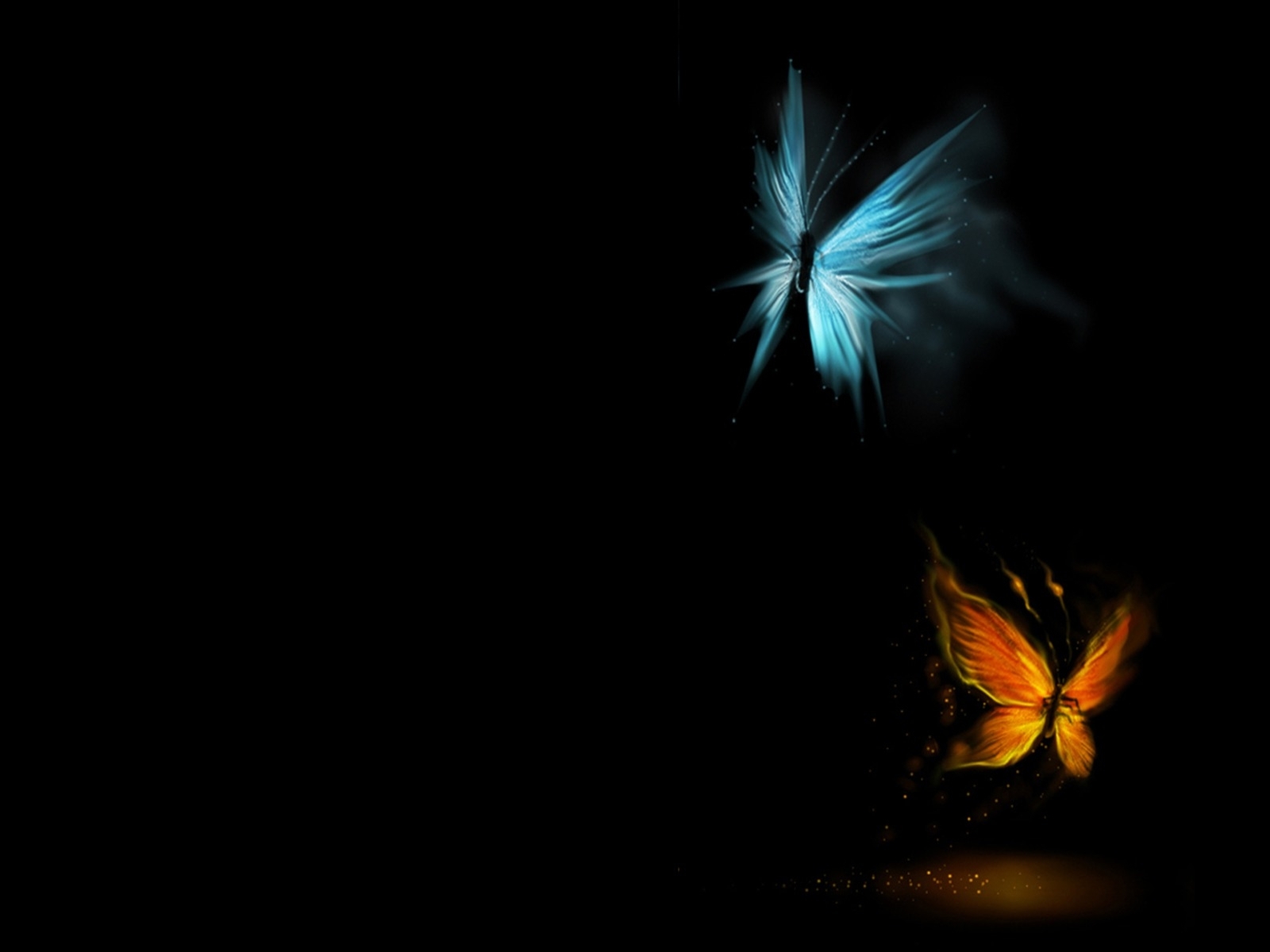 Бабочки в темноте обои