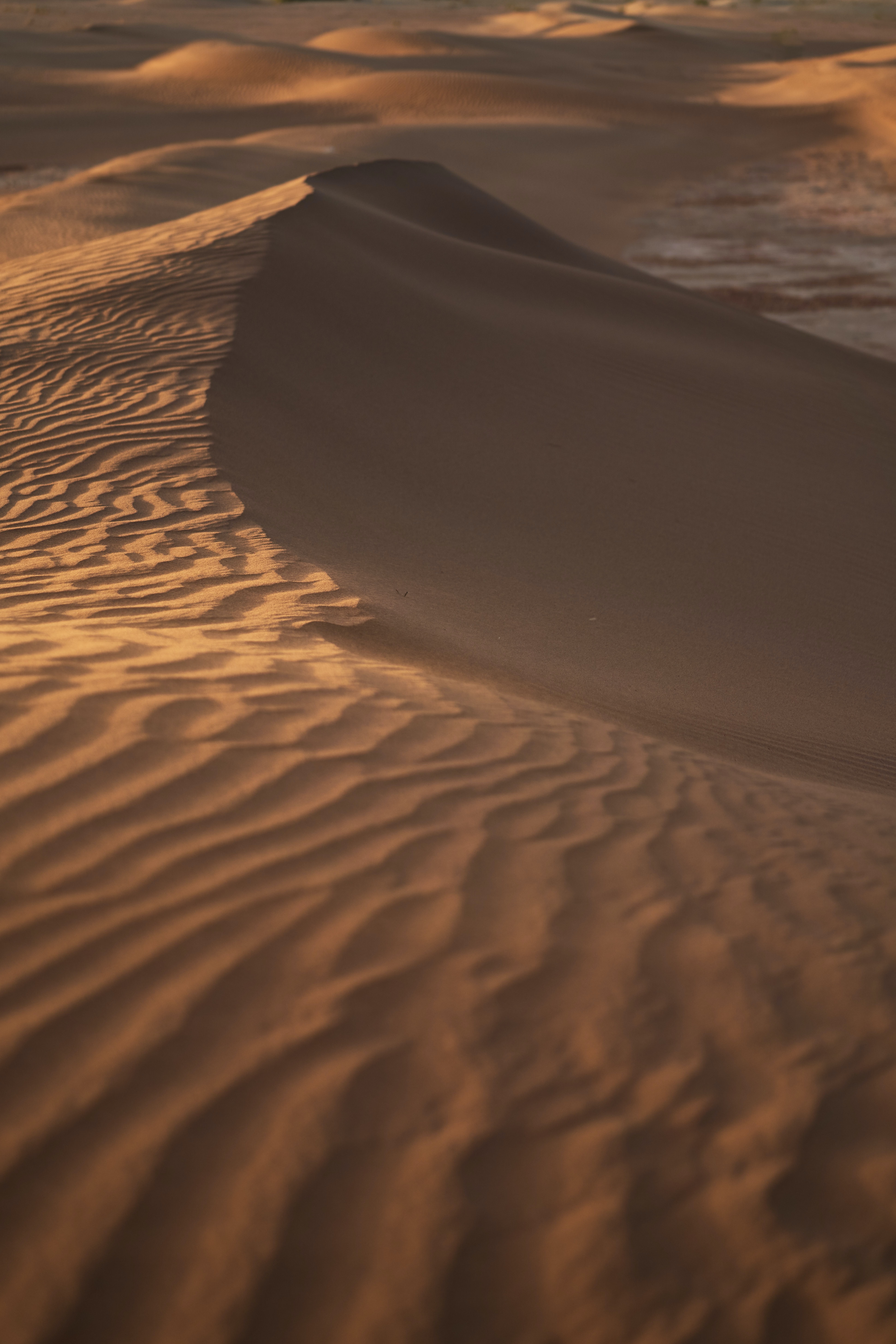 156537 Hintergrundbild herunterladen natur, sand, wüste, wellig, dünen, links - Bildschirmschoner und Bilder kostenlos
