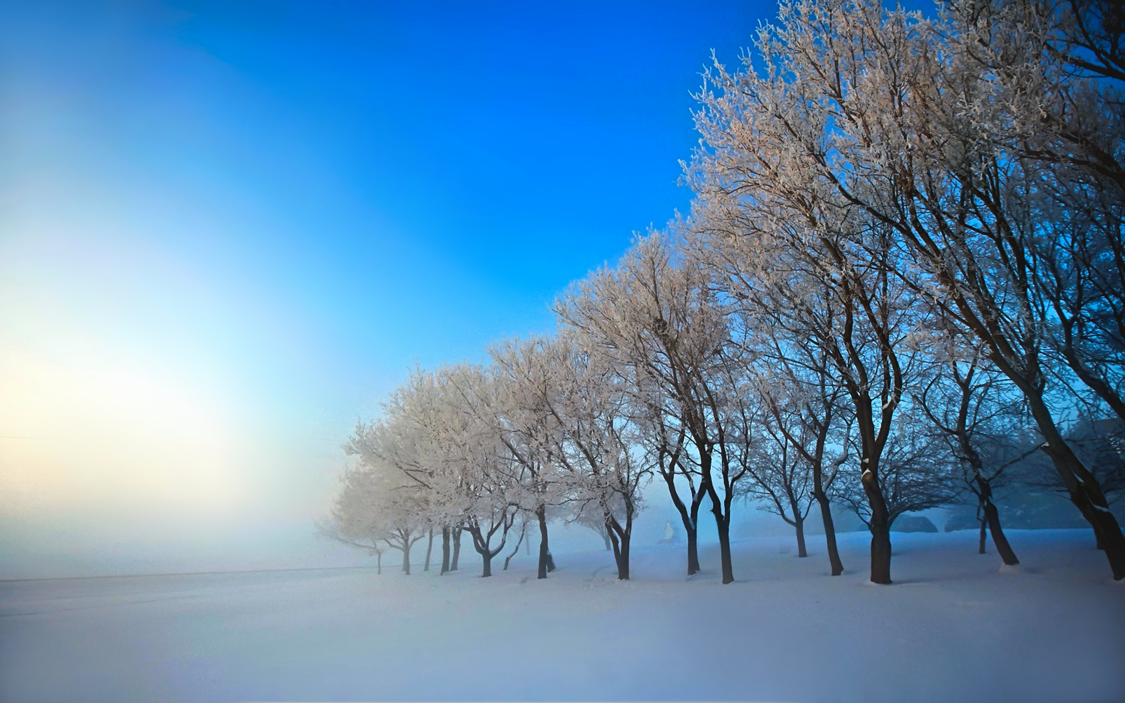 Download mobile wallpaper Winter, Nature, Tree, Earth, Scenic for free.
