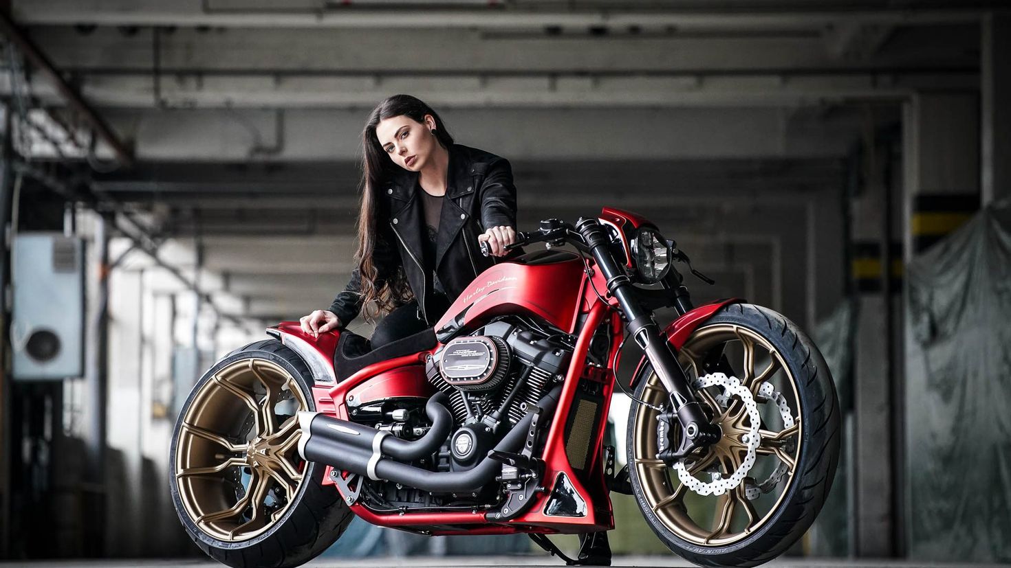 Харлей Дэвидсон Road King girl