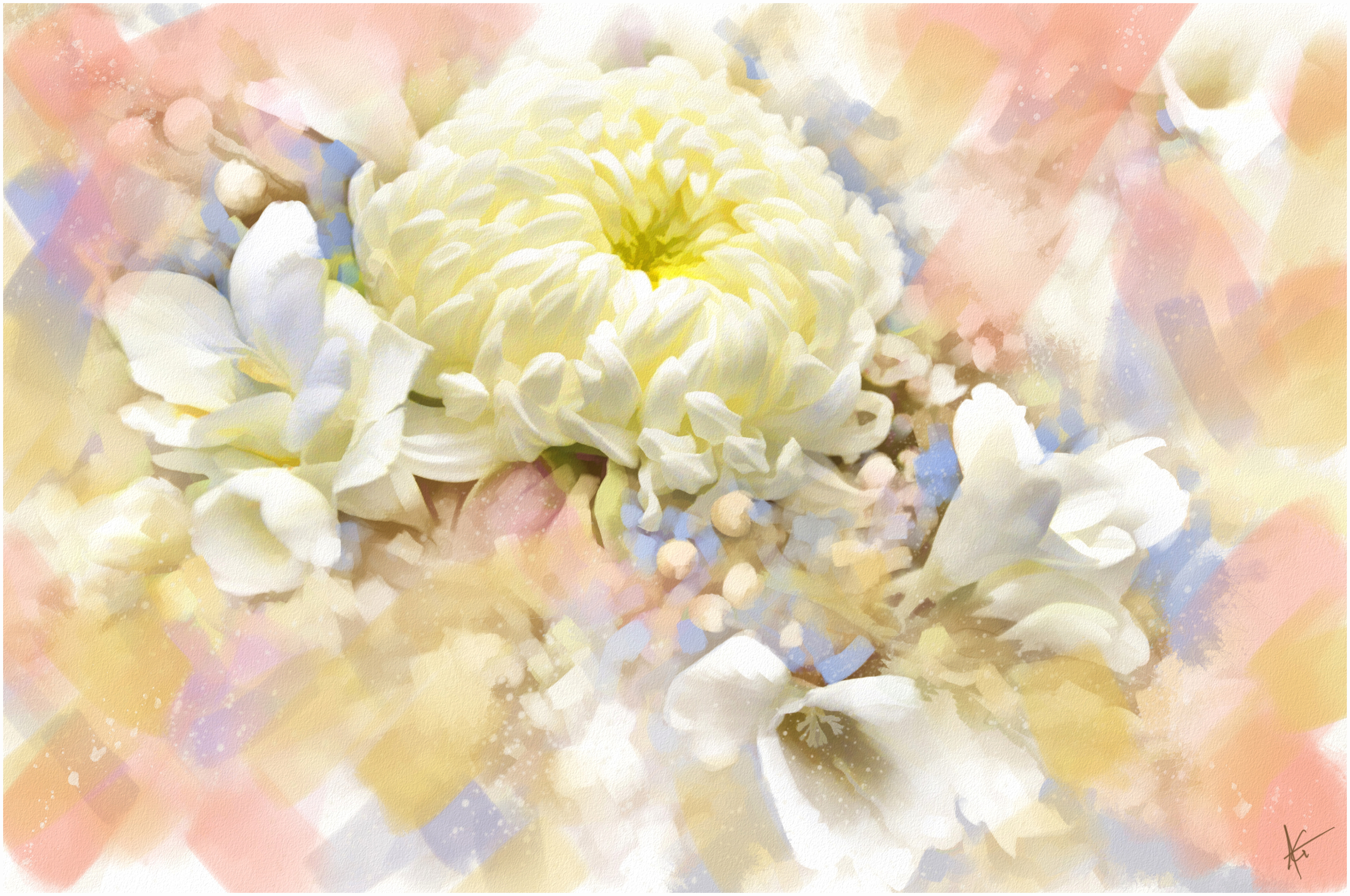 artistic, flower, chrysanthemum, painting, white flower, flowers
