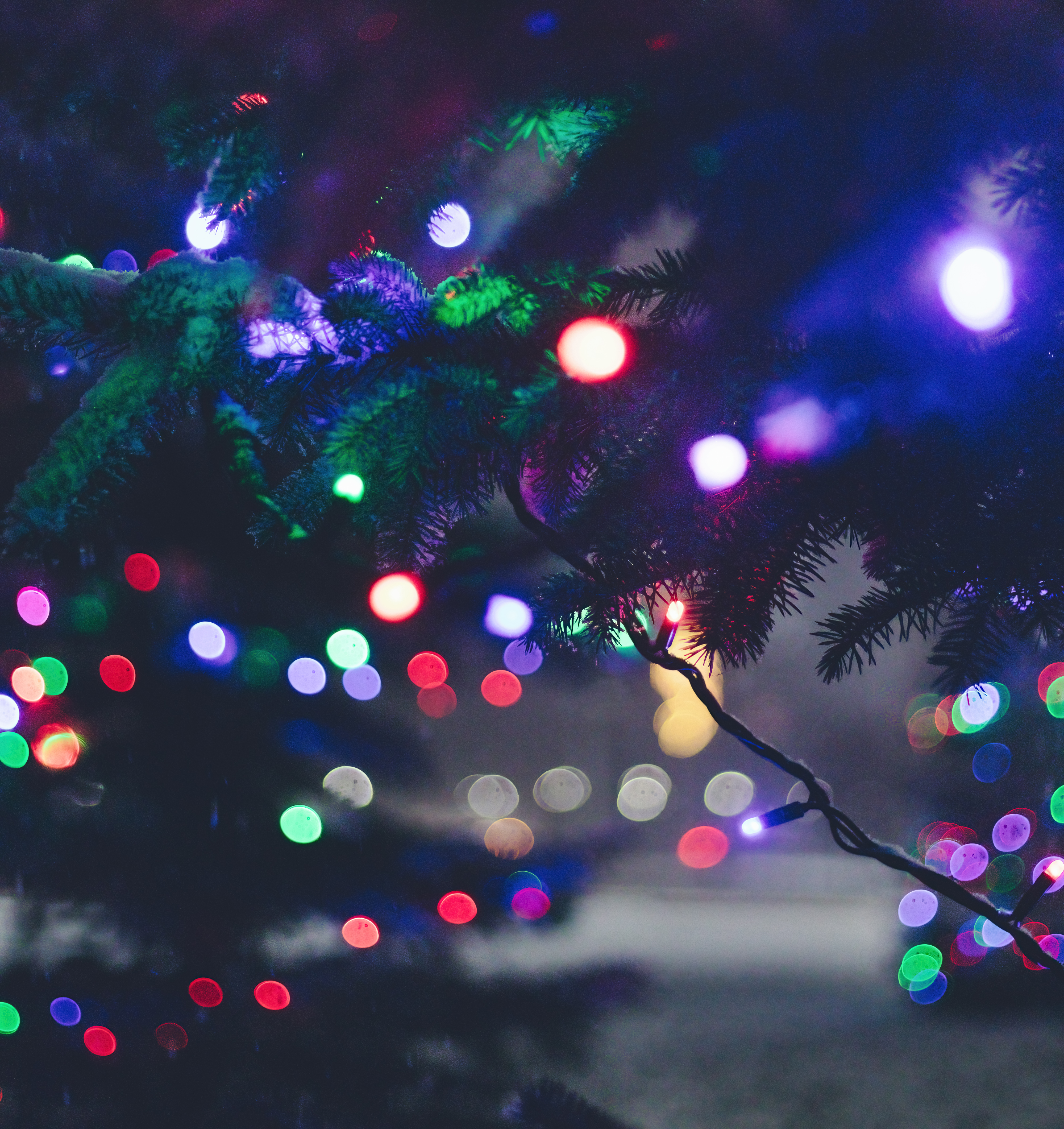 免费下载假期, 新年, 圣诞节, 灯光, 灯具, 强光, 高光, 圣诞树, 花环手机壁纸。
