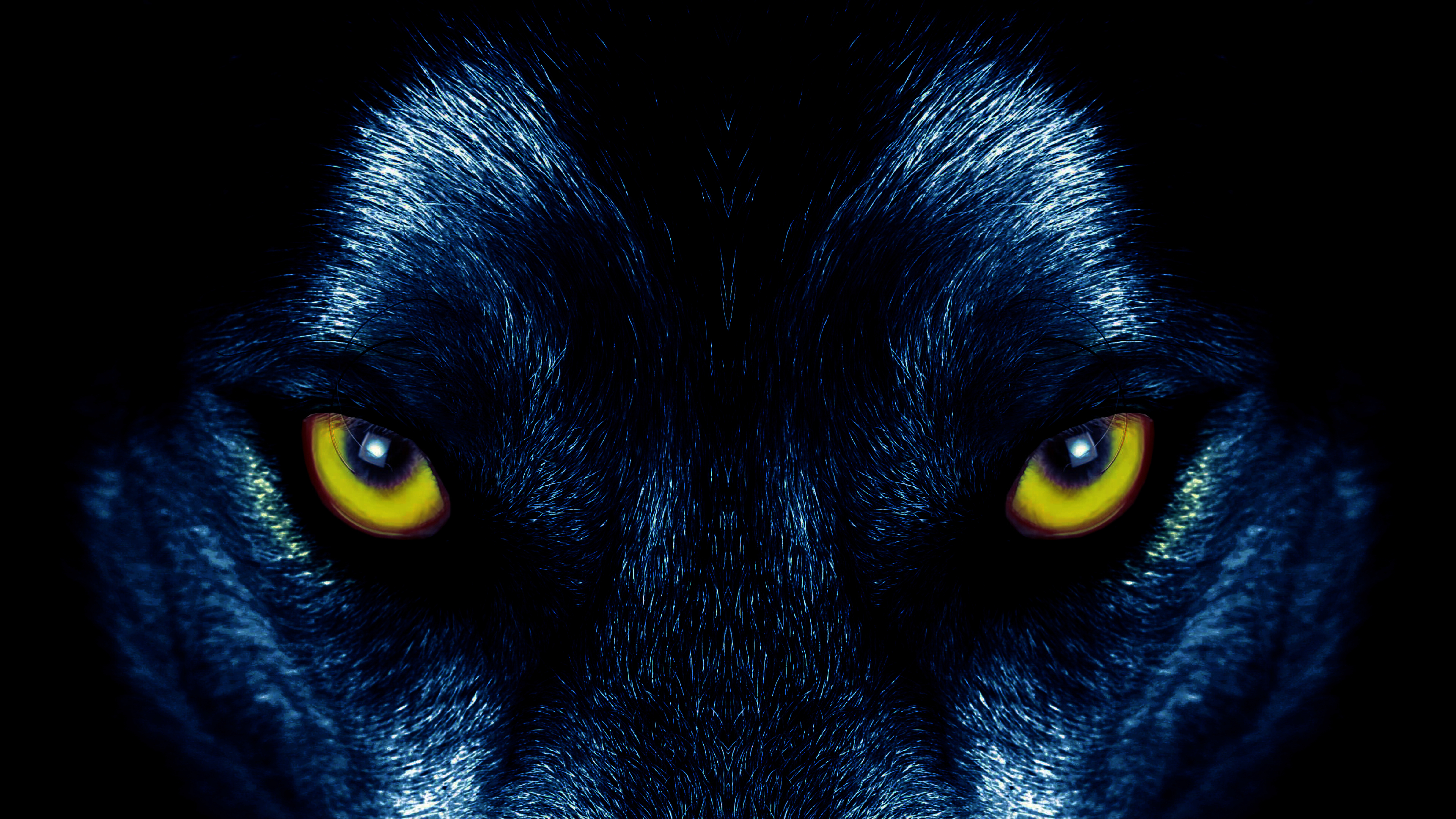 128129 descargar imagen lobo, depredador, animales, ojos, visión, opinión: fondos de pantalla y protectores de pantalla gratis