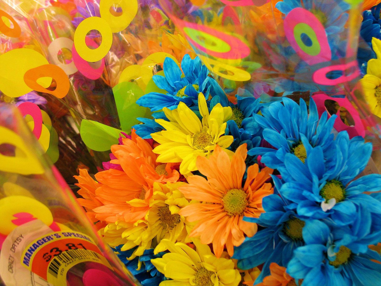130847 baixar papel de parede flores, crisântemo, bouquets, brilhantemente, embalagem, empacotamento, colorida, graficamente - protetores de tela e imagens gratuitamente