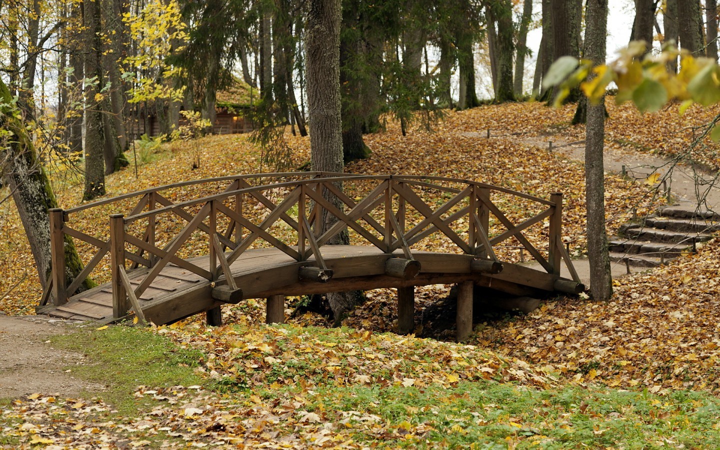 PCデスクトップに風景, 橋, 秋, 葉, 木画像を無料でダウンロード