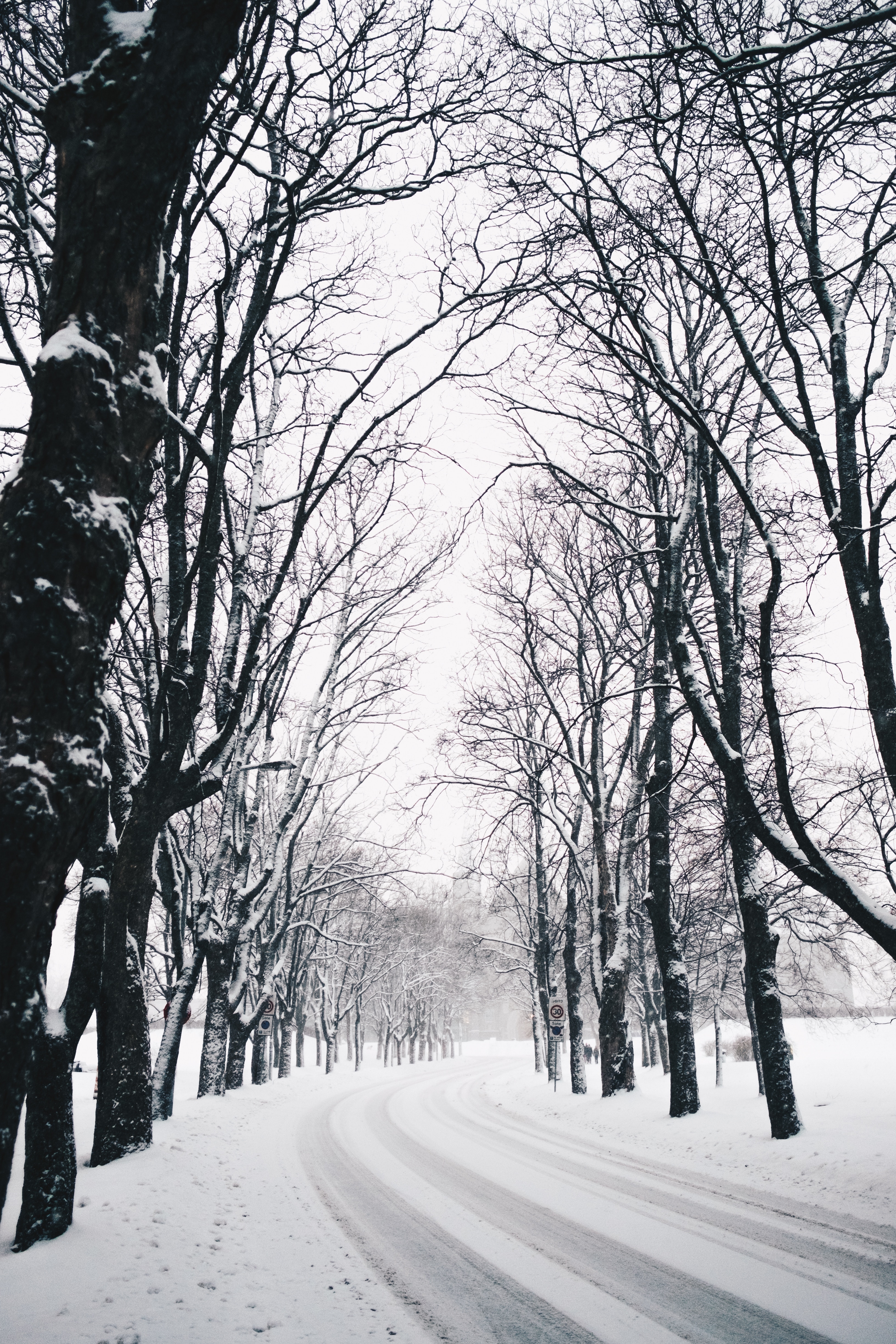 Laden Sie das Straße, Wende, Drehen, Natur, Bäume, Schnee, Winter-Bild kostenlos auf Ihren PC-Desktop herunter