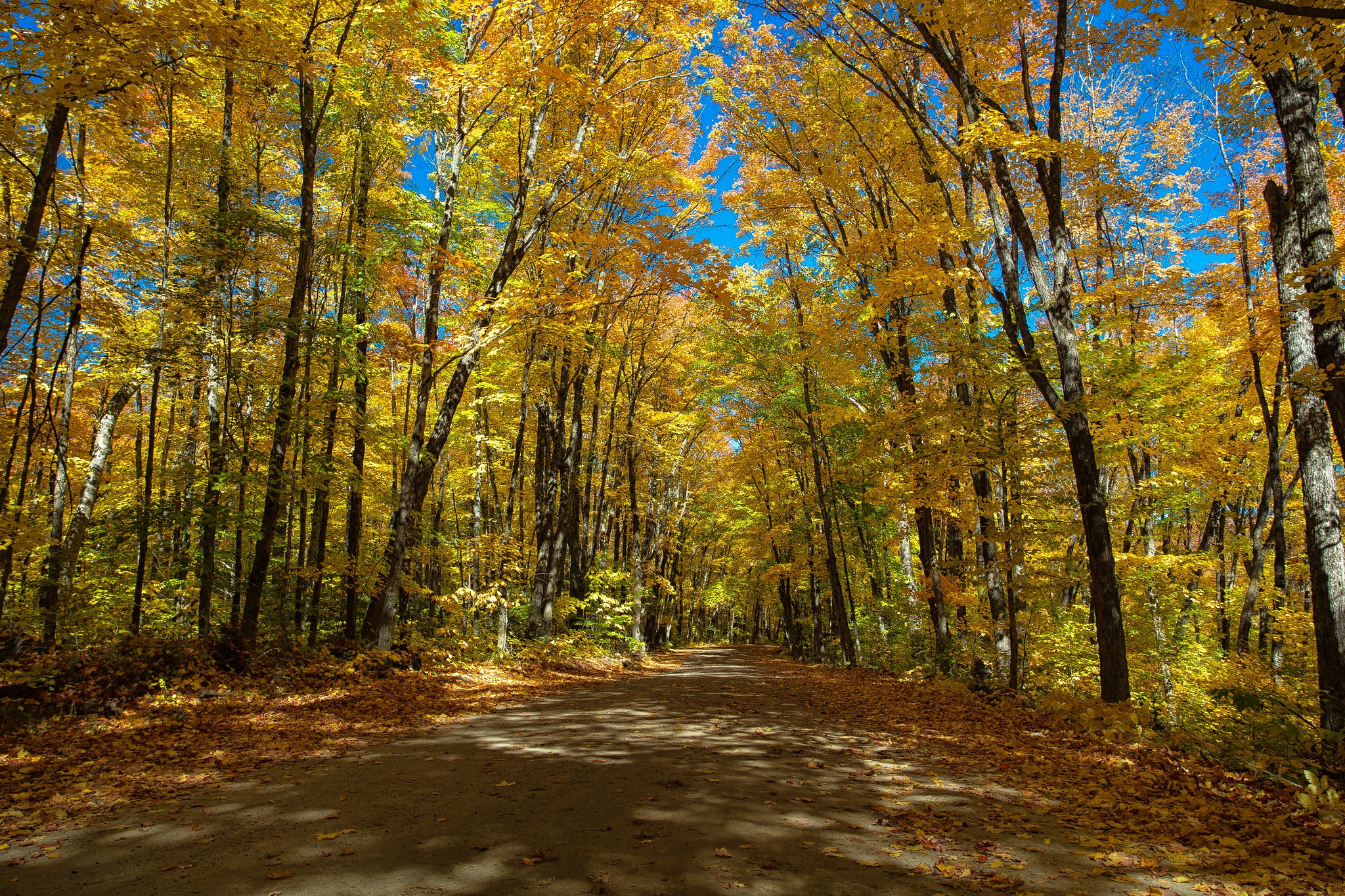 999065 descargar imagen hecho por el hombre, carretera, canadá, otoño, ontario, árbol: fondos de pantalla y protectores de pantalla gratis