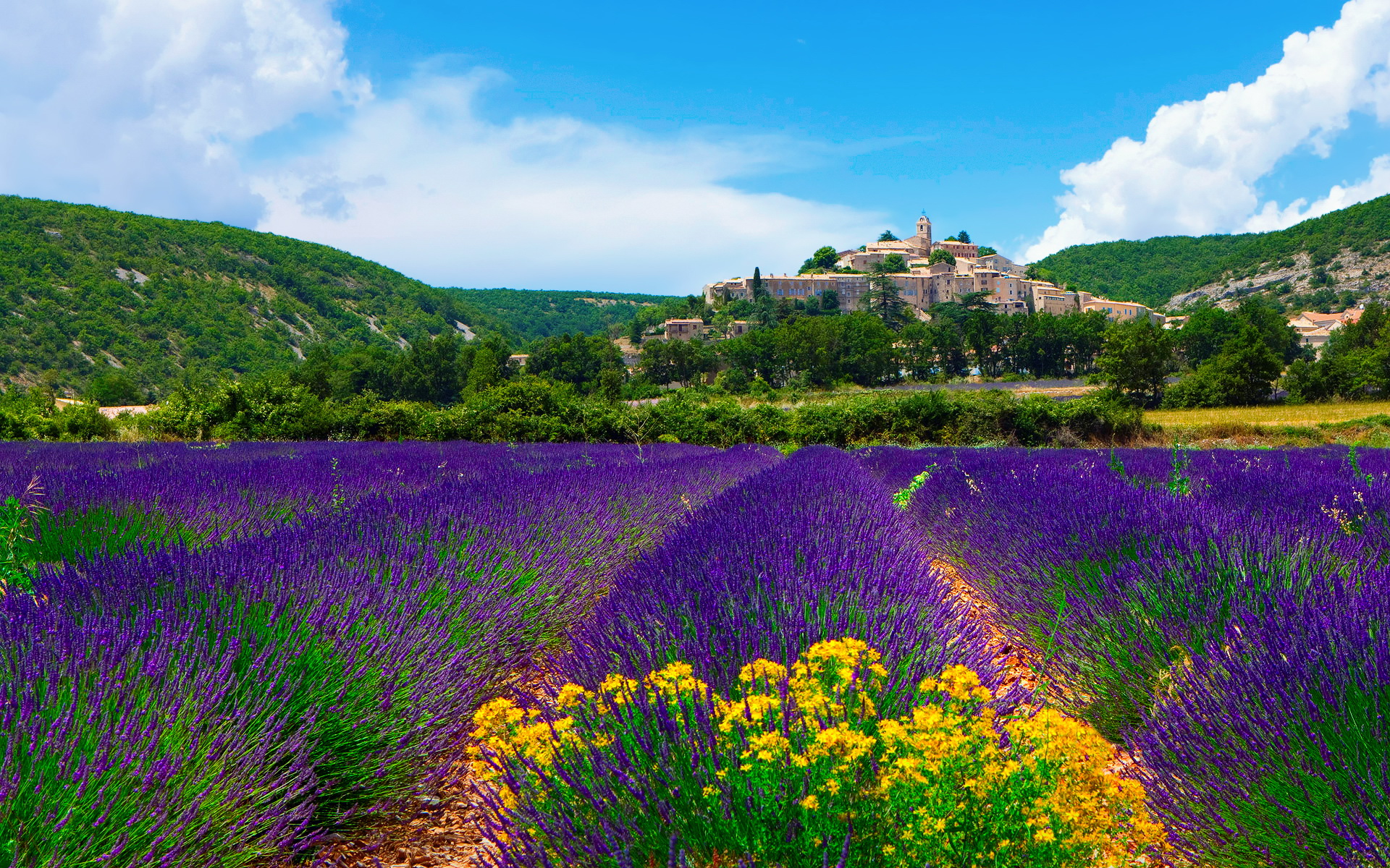 Free Provence Background
