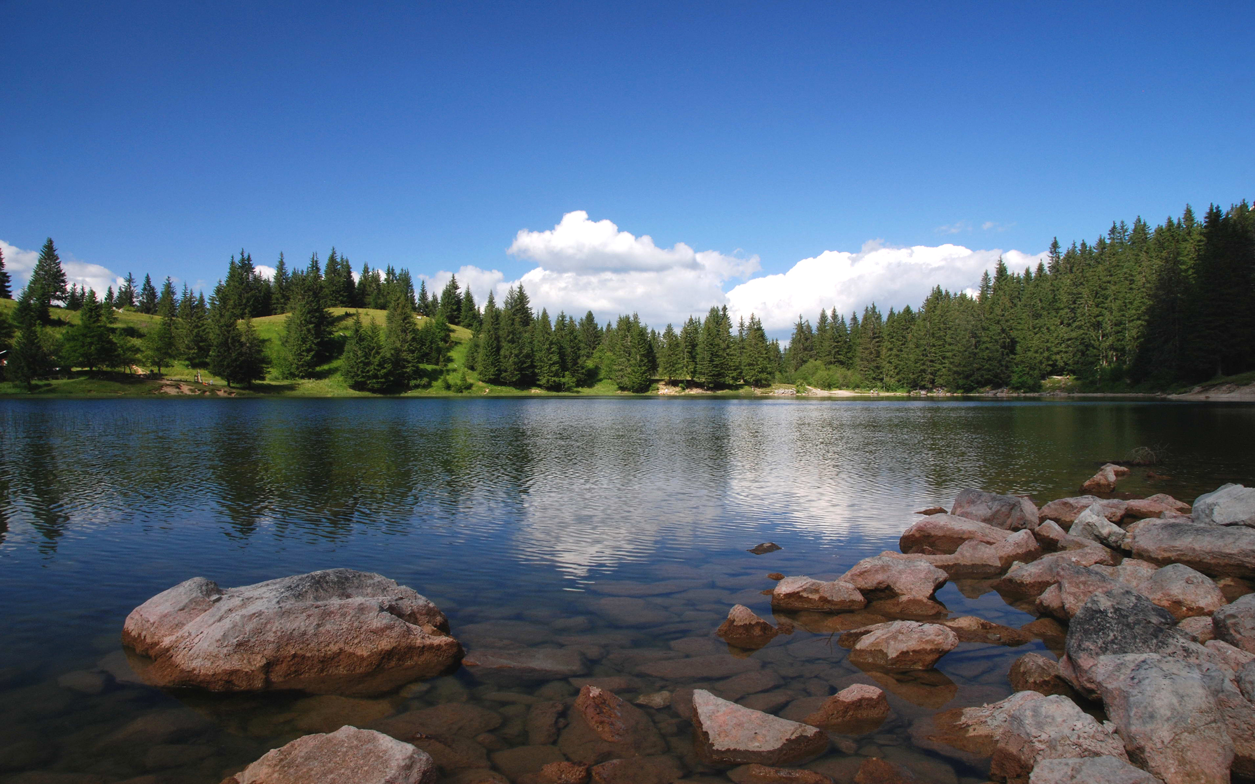 Берег озера видео. Озеро Каменное Карелия. Озеро Карелия камни лес. Карелия камни у озера. Озеро в лесу.
