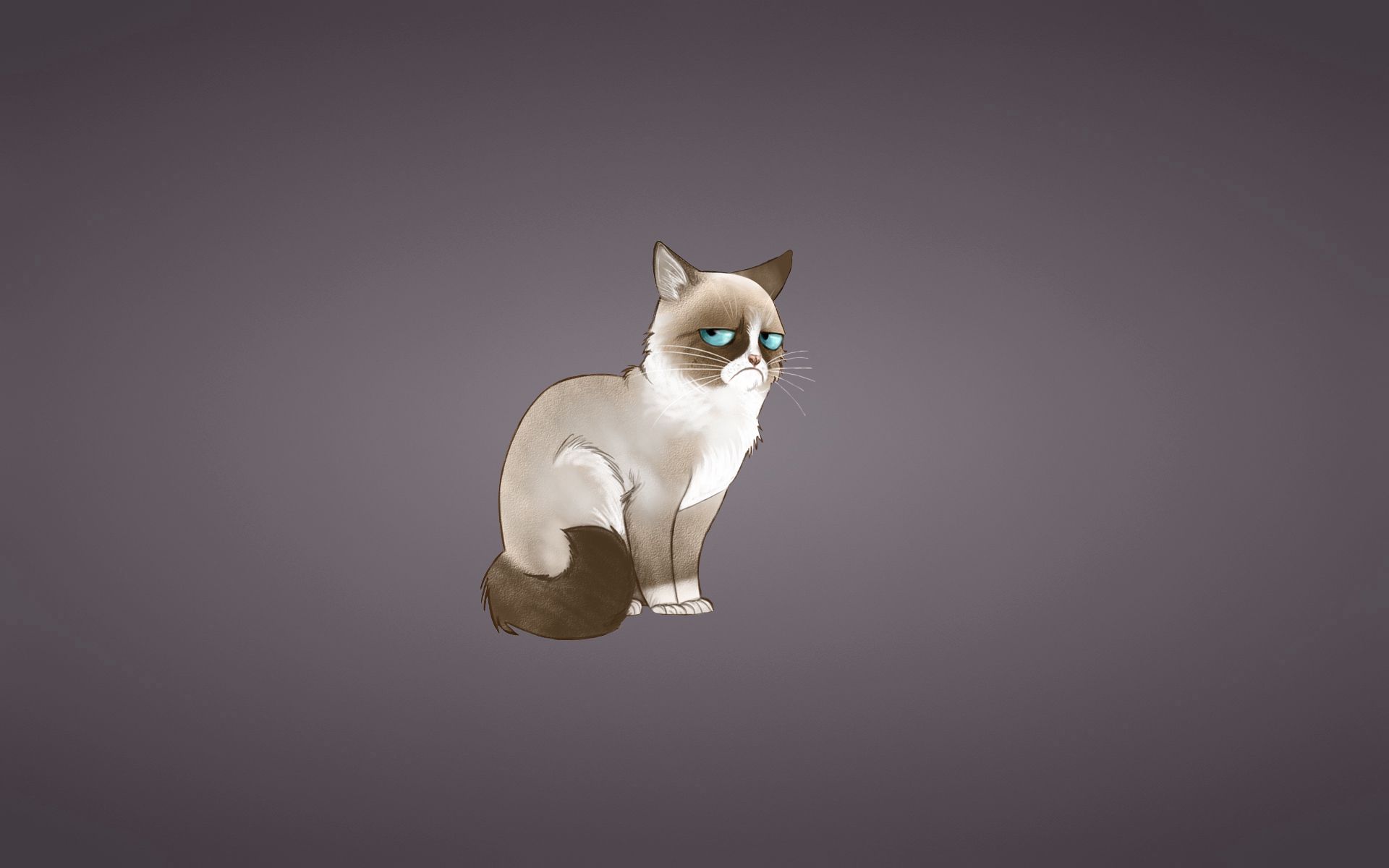 Популярні заставки і фони Grumpy Cat на комп'ютер