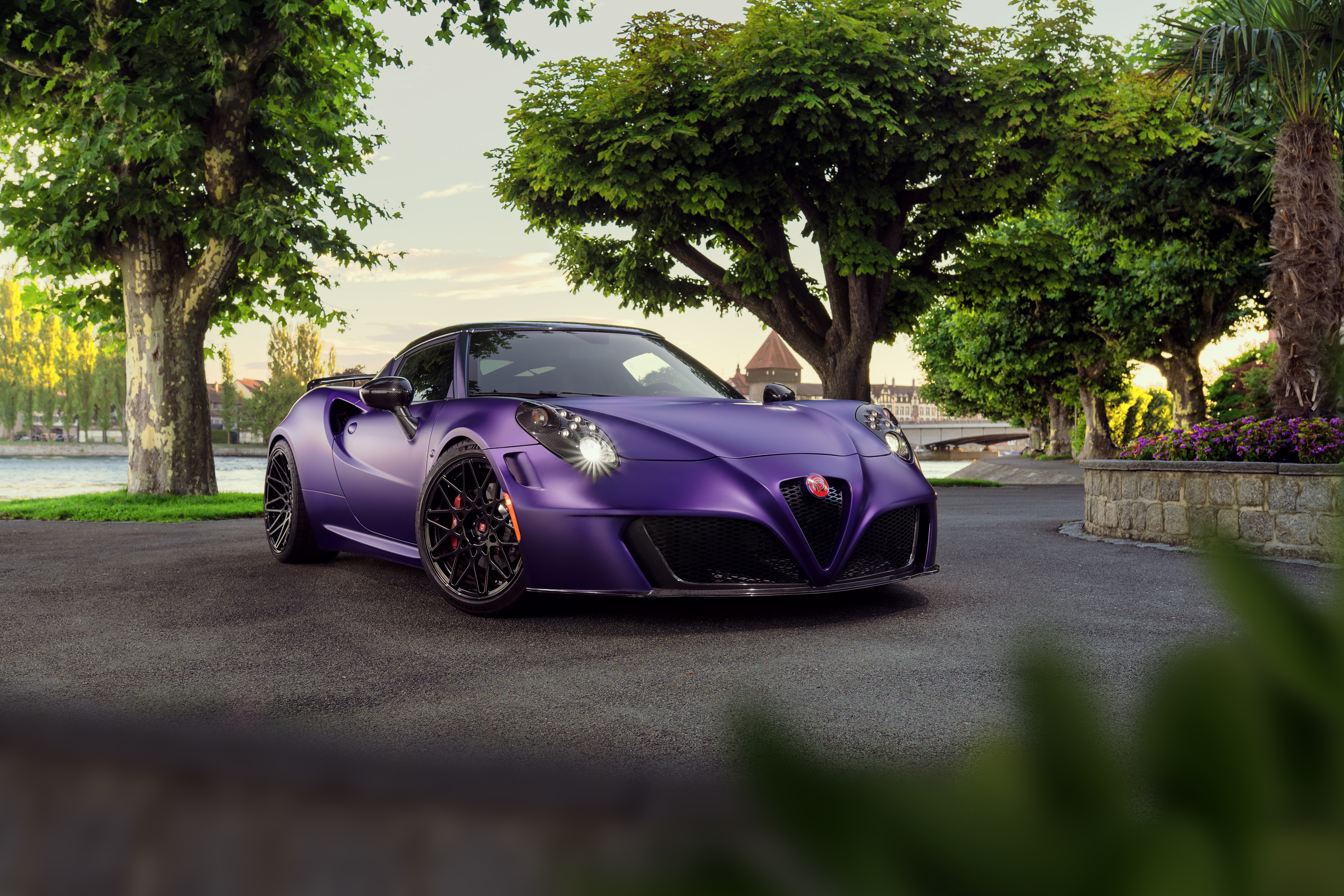 Infinity car Purple