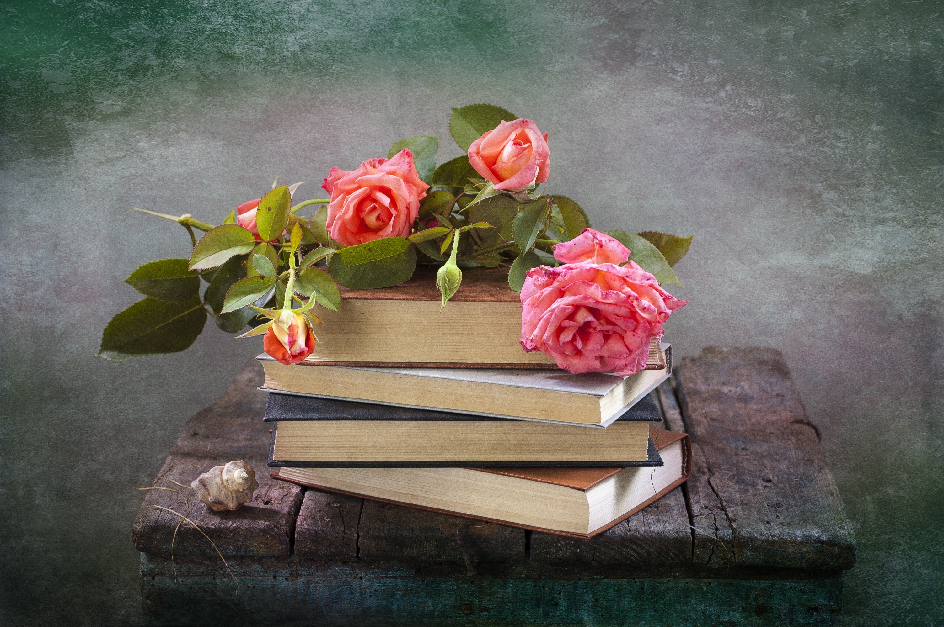 Download mobile wallpaper Still Life, Flower, Rose, Book, Shell, Photography, Pink Flower for free.