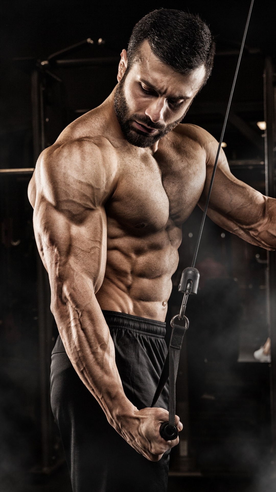 570980 bodybuilding free images  Rare Gallery HD Wallpapers