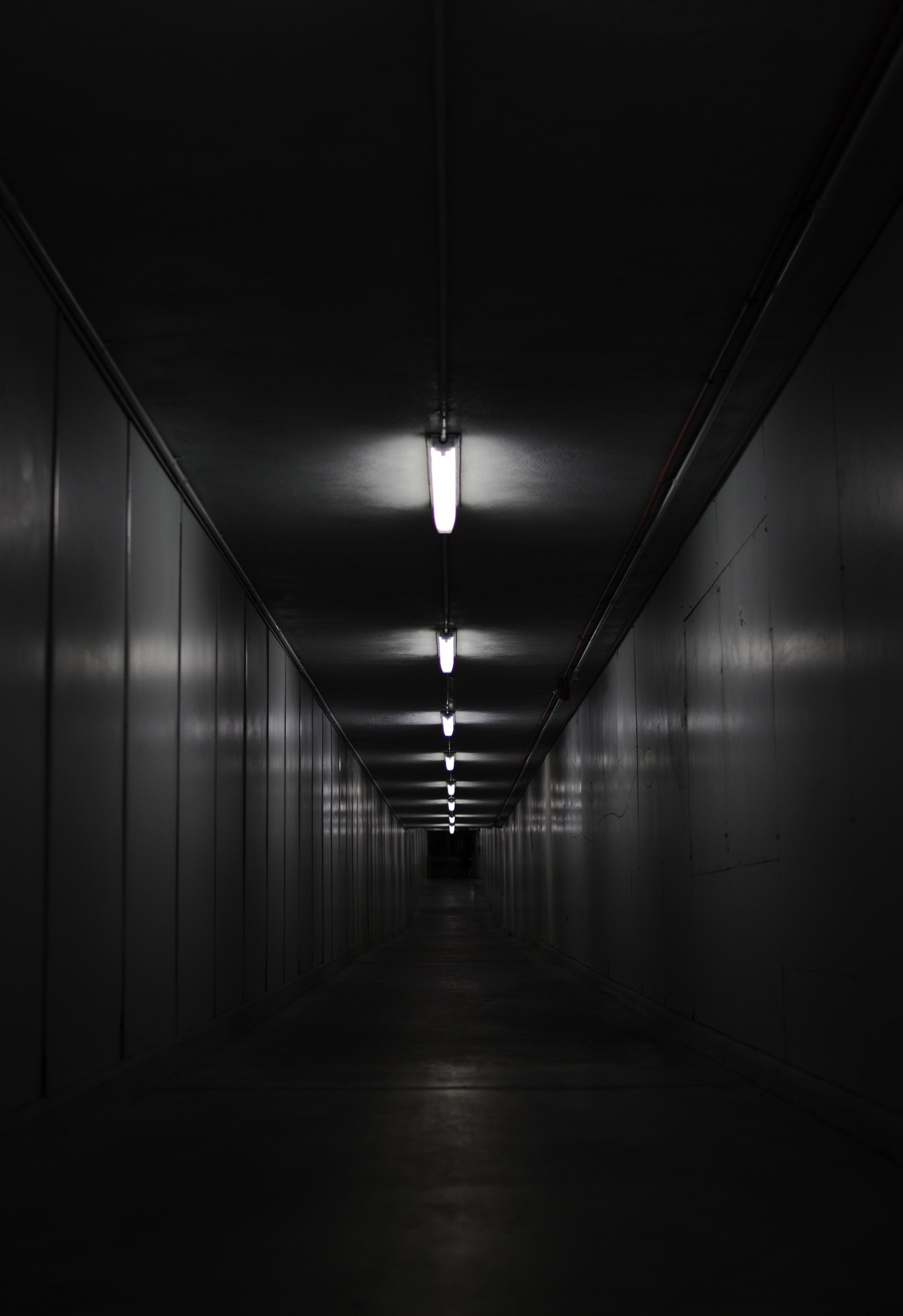 black and white, black, corridor, premises, walls, illumination, room, lighting