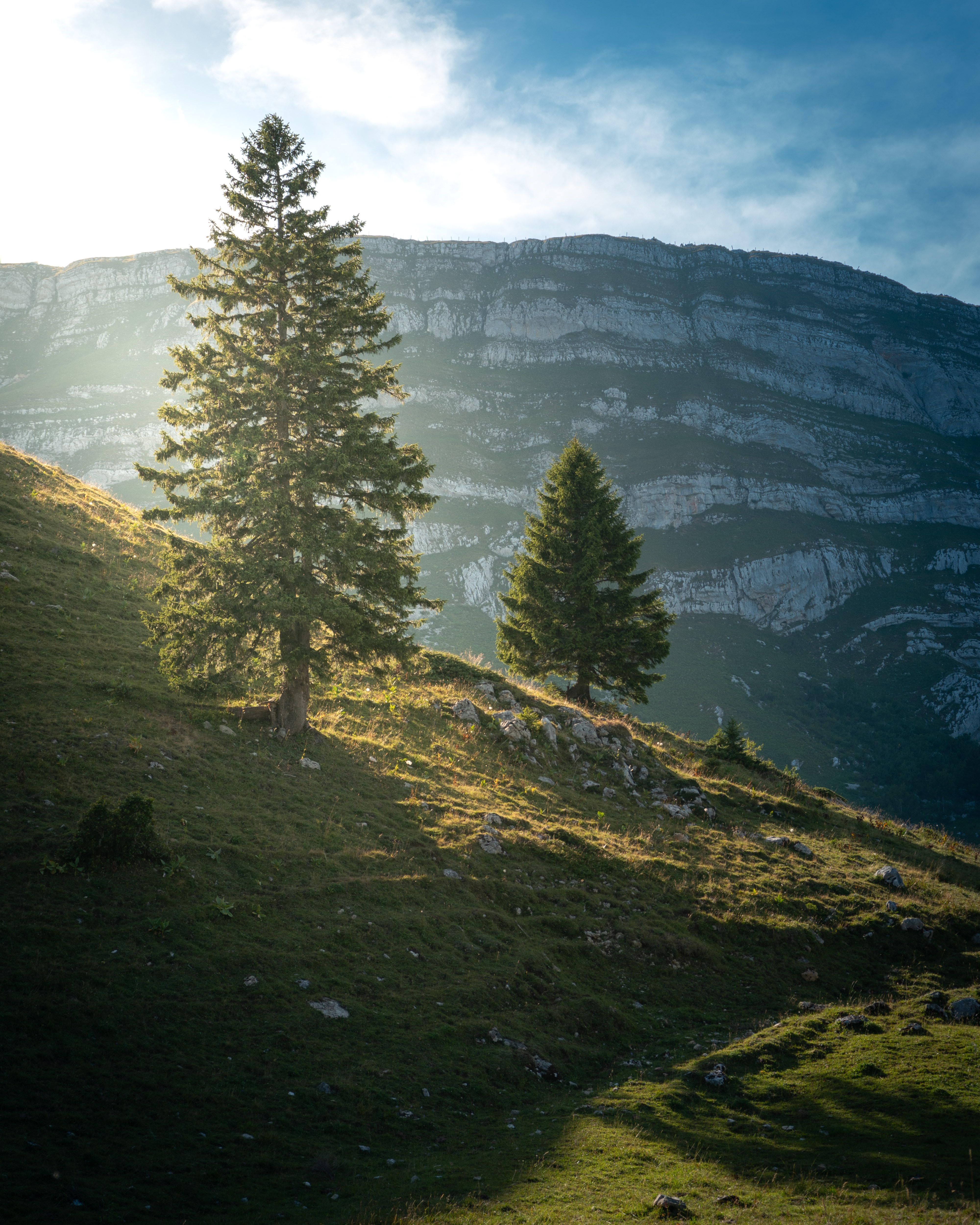 slope, landscape, nature, trees, mountain Smartphone Background