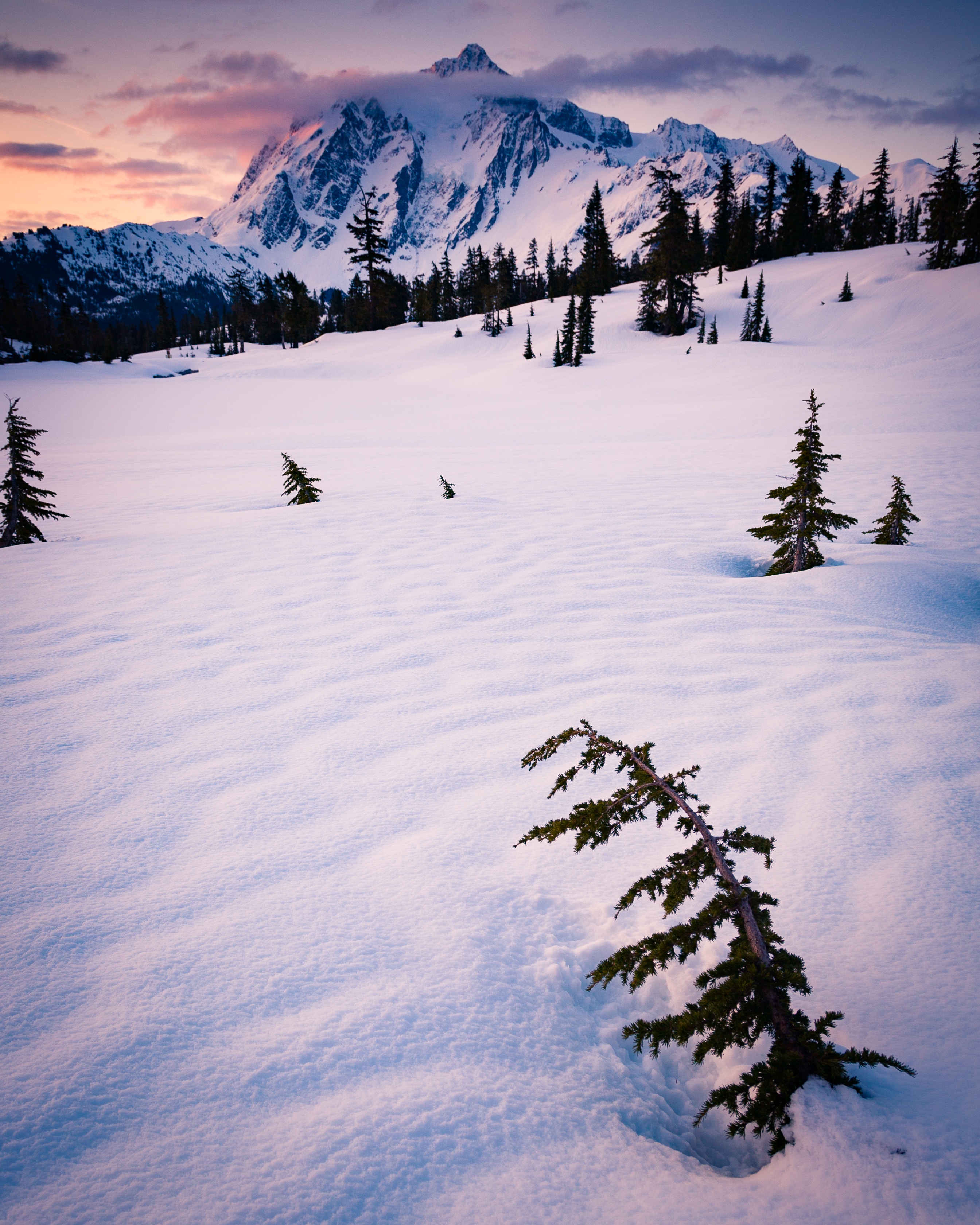 Laden Sie das Berg, Bäume, Schnee, Clouds, Winter, Natur-Bild kostenlos auf Ihren PC-Desktop herunter