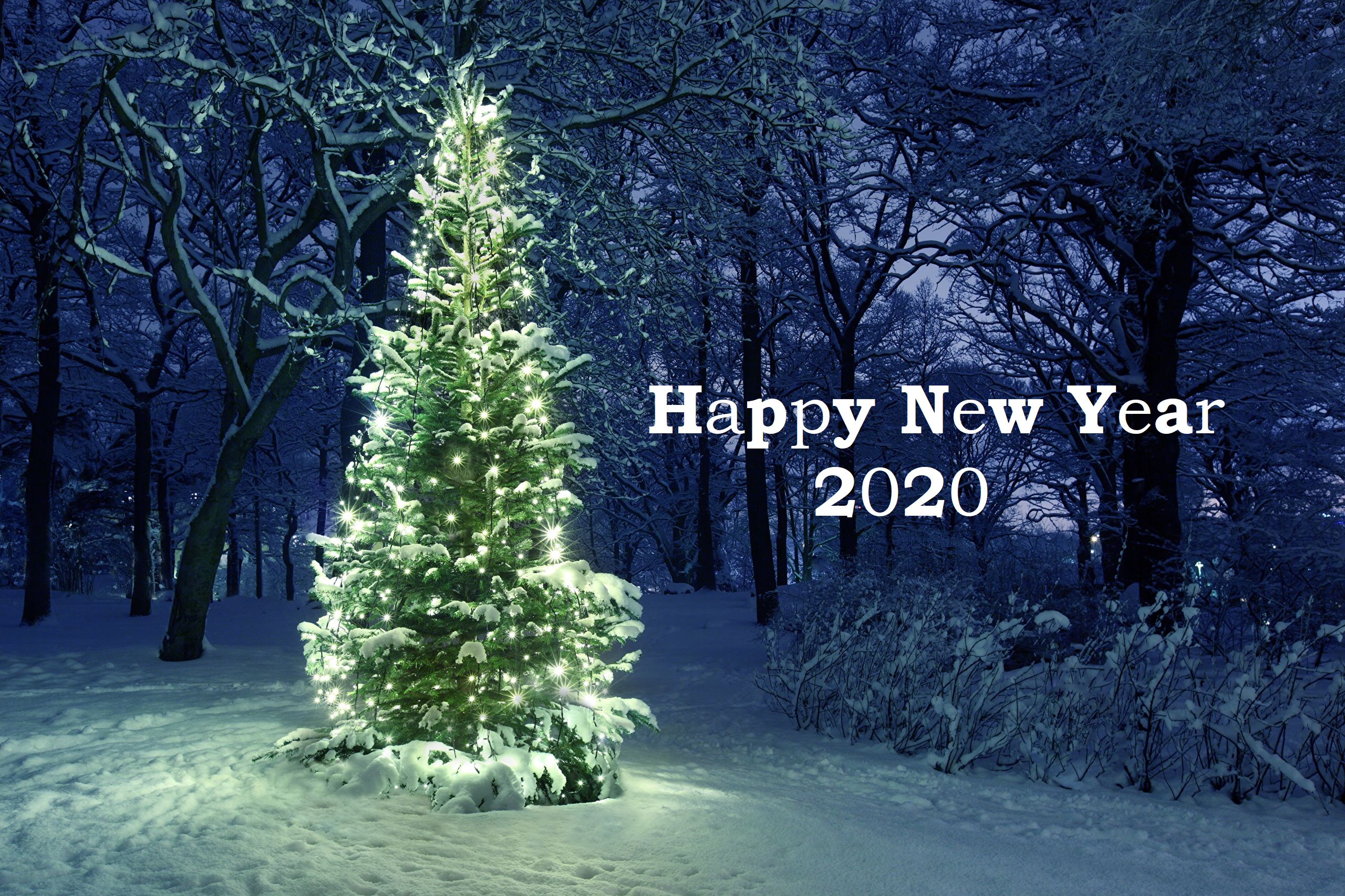 1532961 baixar papel de parede feriados, ano novo 2020, árvore de natal, feliz ano novo - protetores de tela e imagens gratuitamente