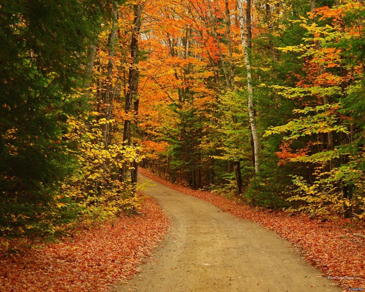 Download mobile wallpaper Roads, Landscape, Trees, Autumn for free.
