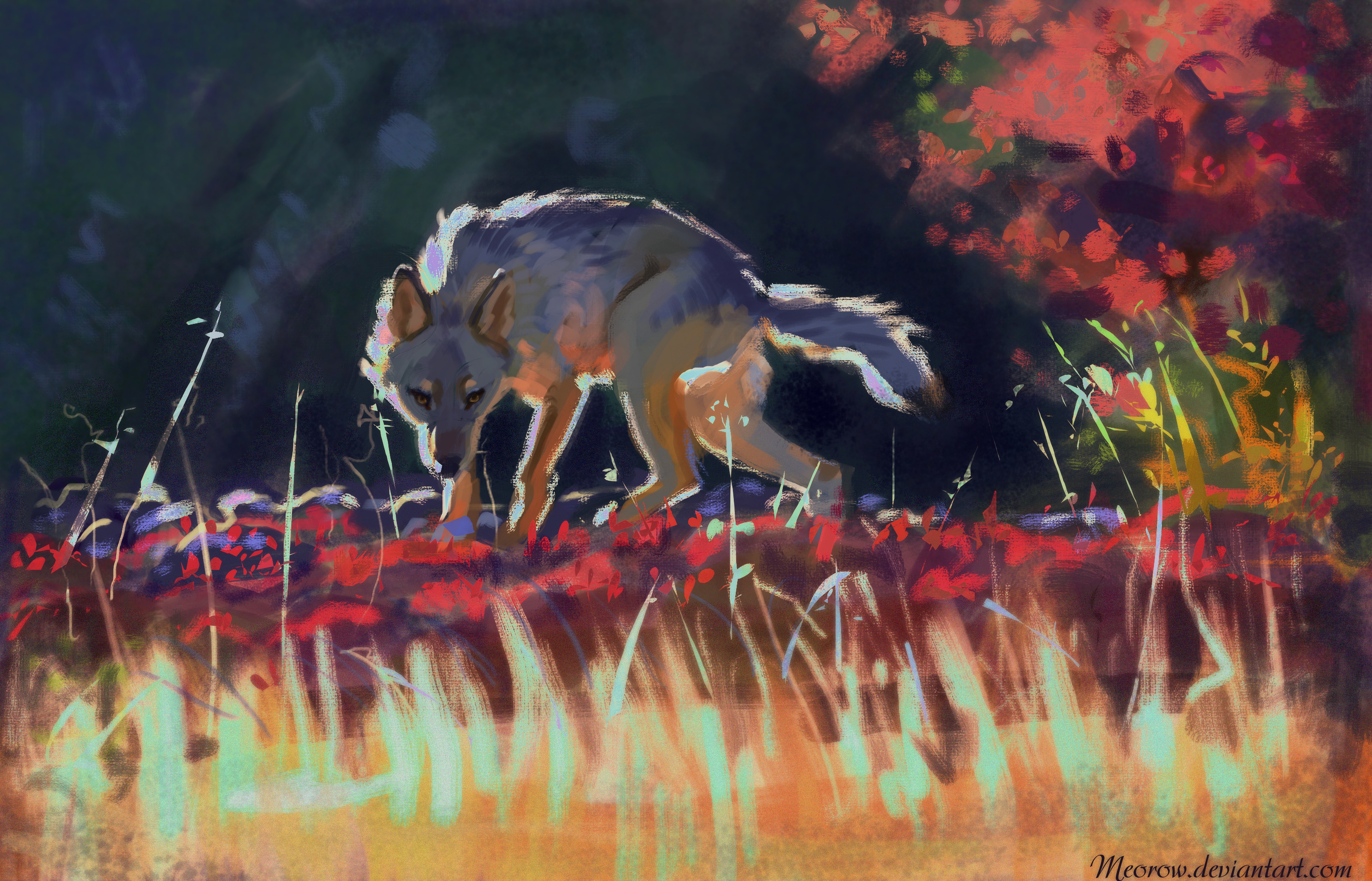 Free download wallpaper Grass, Wildlife, Predator, Wolf, Art on your PC desktop