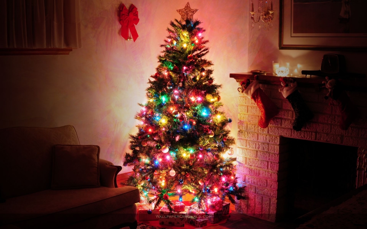 10612 Hintergrundbild herunterladen weihnachten, feiertage, pflanzen, bäume, neujahr, tannenbaum, rot - Bildschirmschoner und Bilder kostenlos