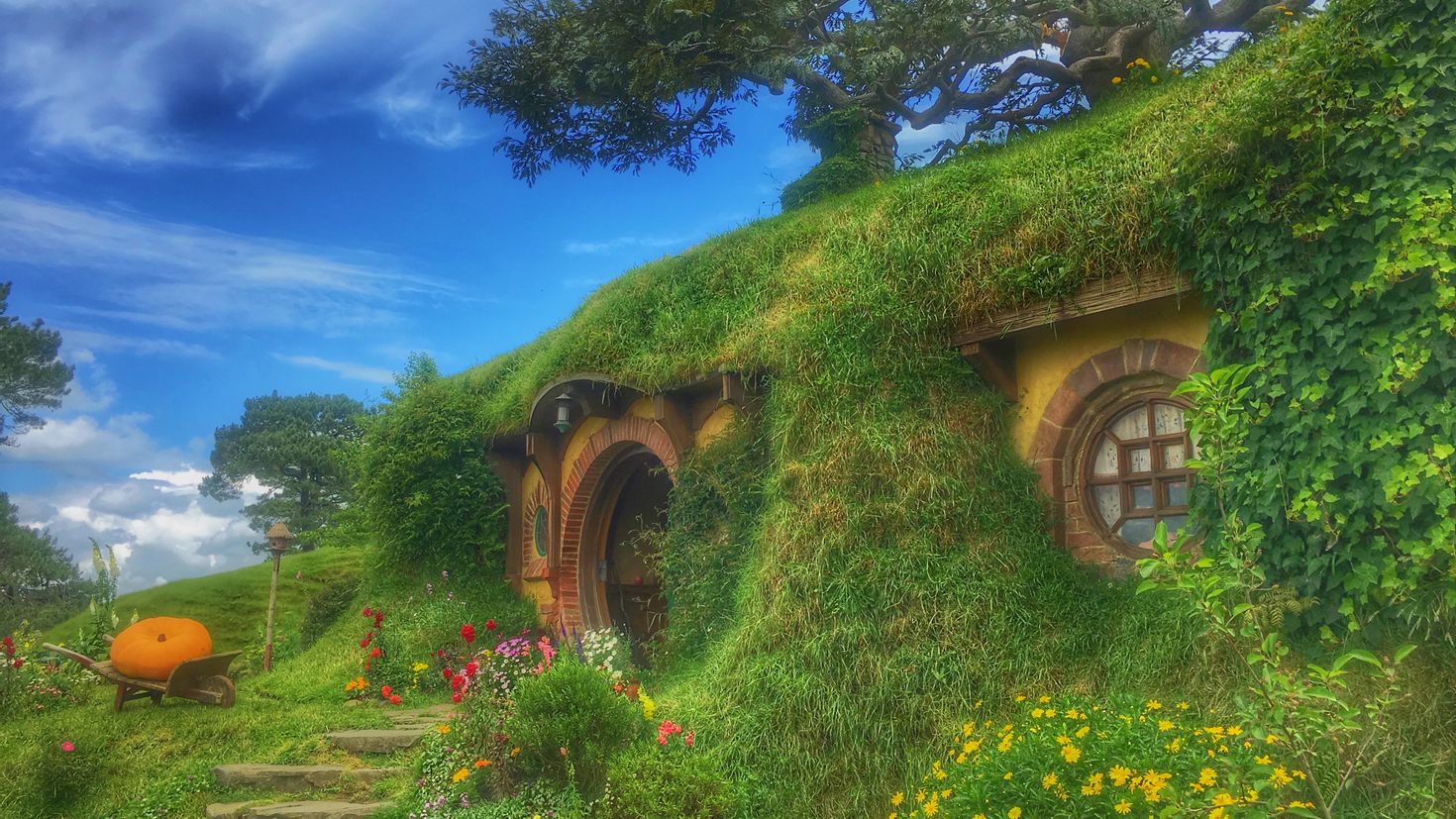 Tales of the shire