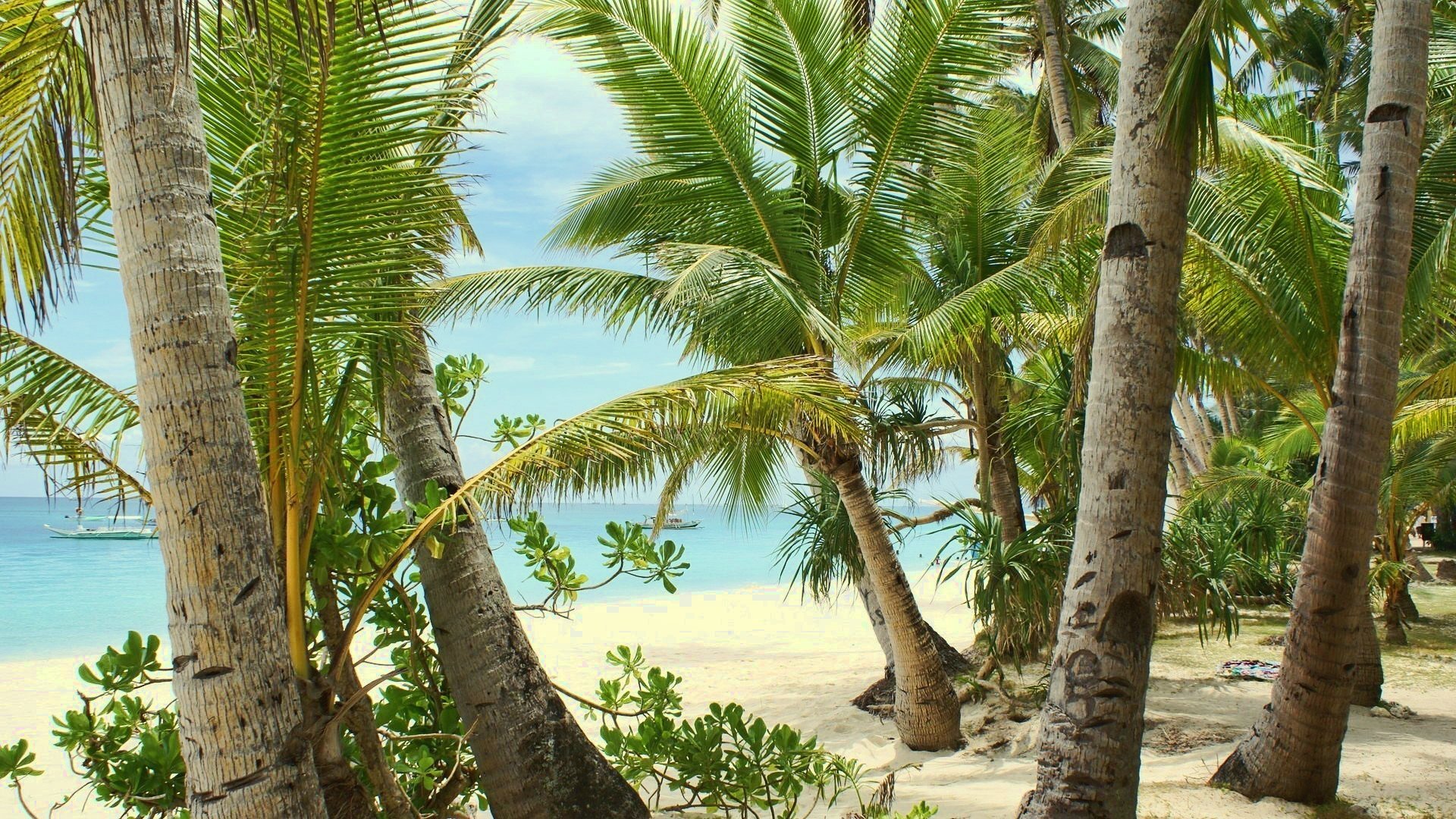 Free download wallpaper Landscape, Sea, Palms, Beach, Sand on your PC desktop