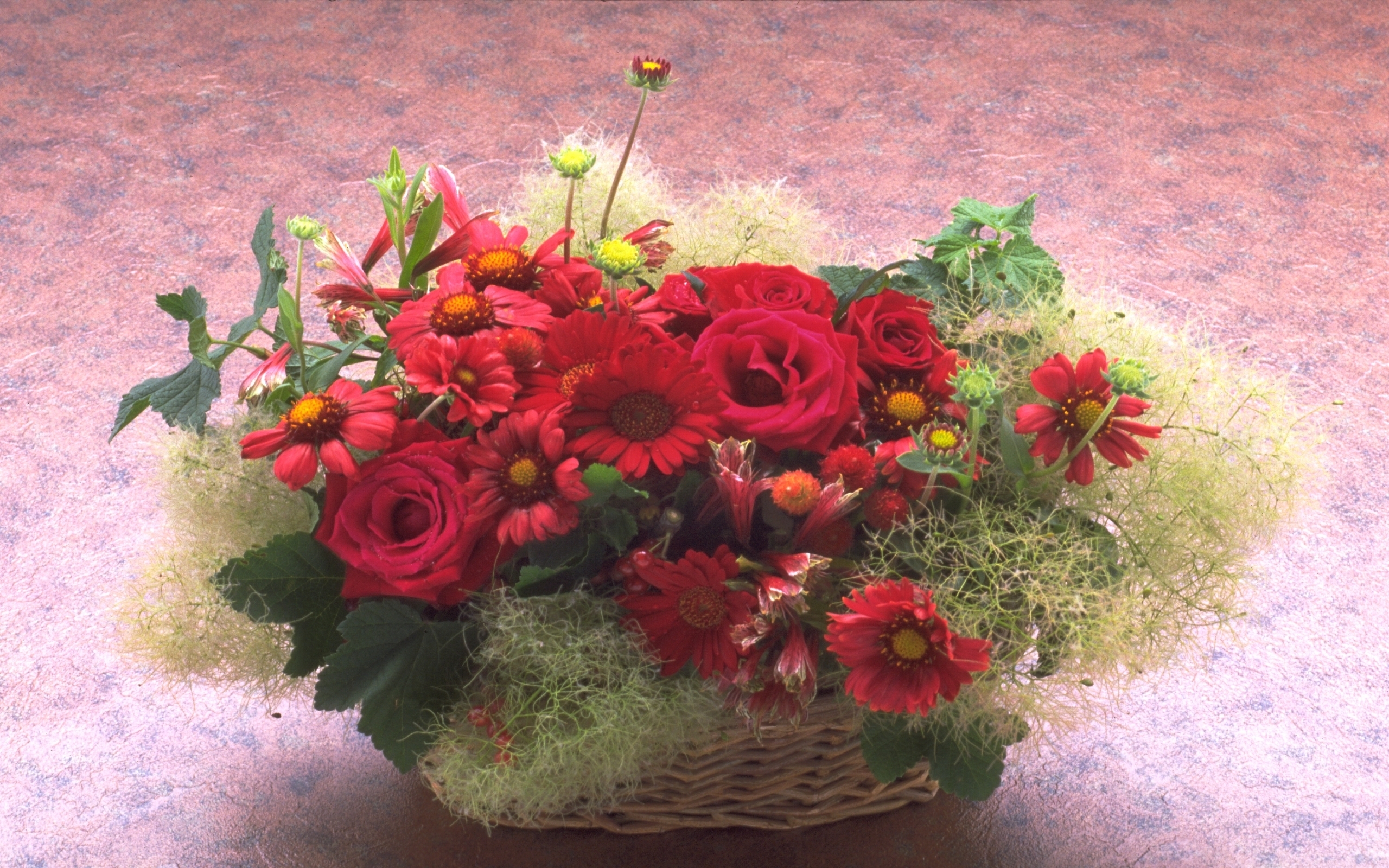 Скачать обои бесплатно Праздники, Цветы, Растения, Букеты, Хризантемы, Розы картинка на рабочий стол ПК