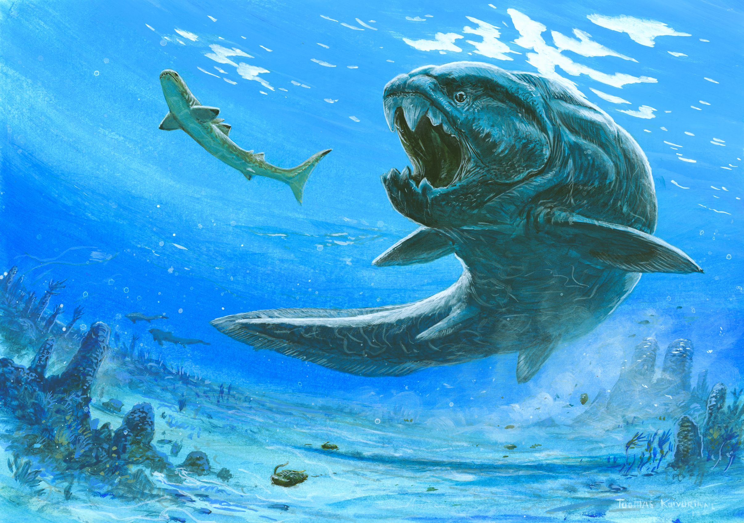 Доисторическая акула ДУНКЛЕОСТЕЙ