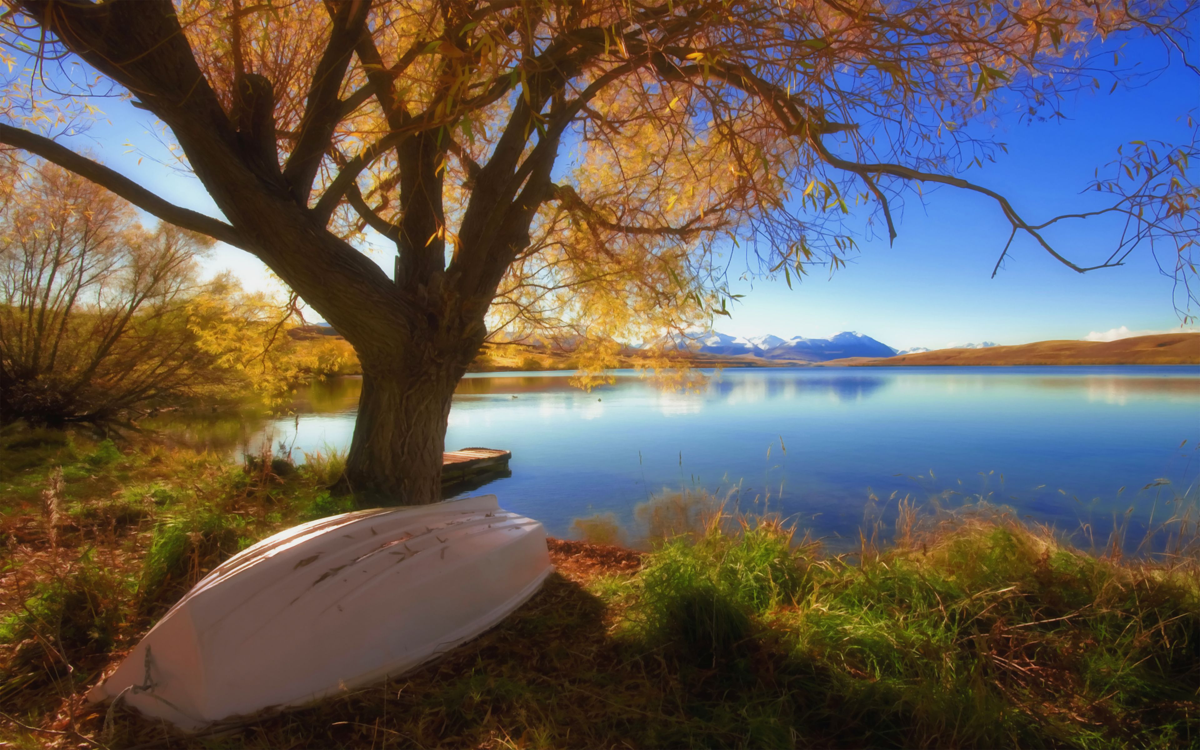 Книга реки и озера. Природа. Осень озеро. Дерево на берегу озера. Профессиональные пейзажи.