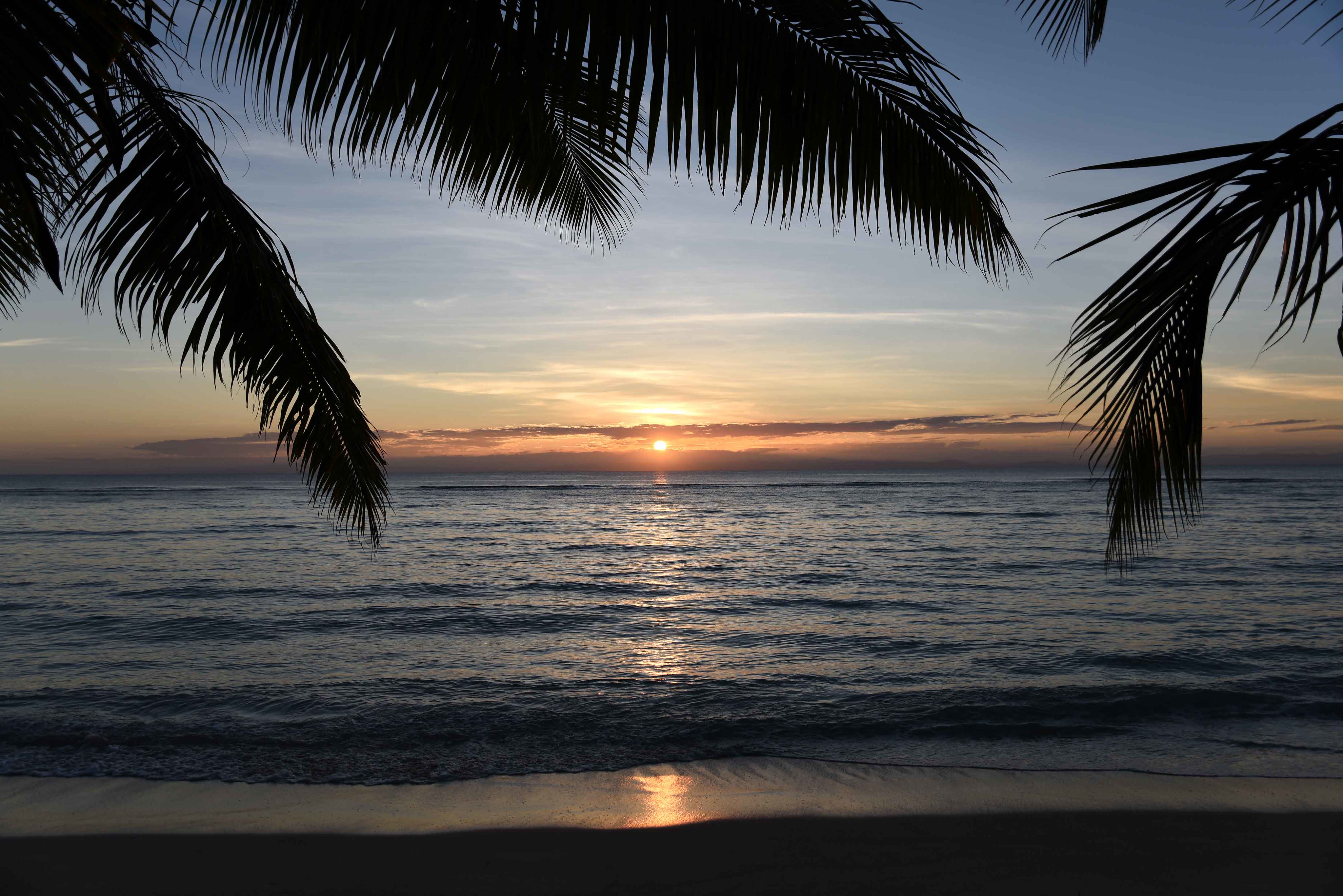 nature, sunset, sea, palms, horizon, coast Full HD