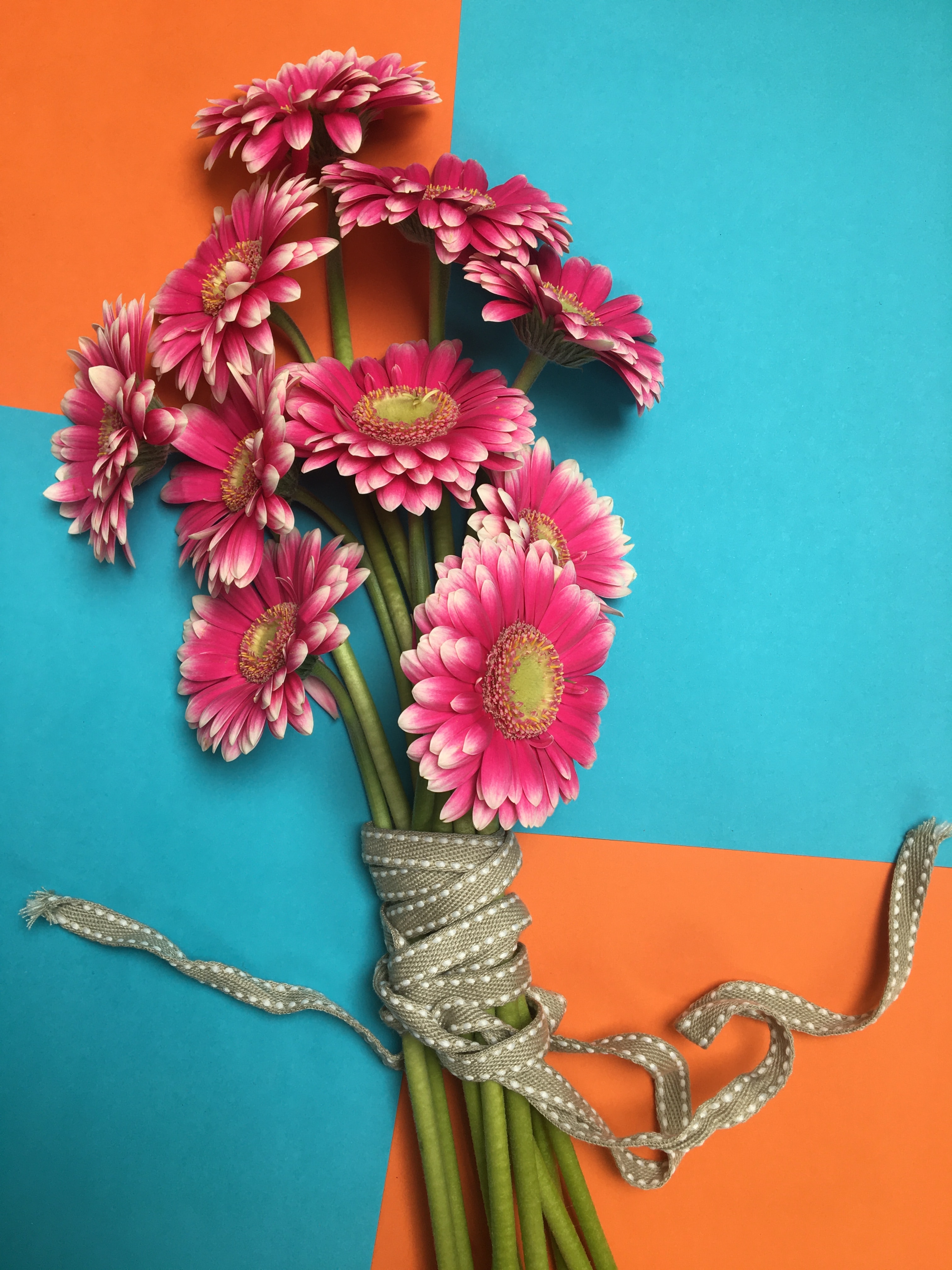 Handy-Wallpaper Blütenblätter, Gerbera, Blumen, Strauß, Bouquet kostenlos herunterladen.
