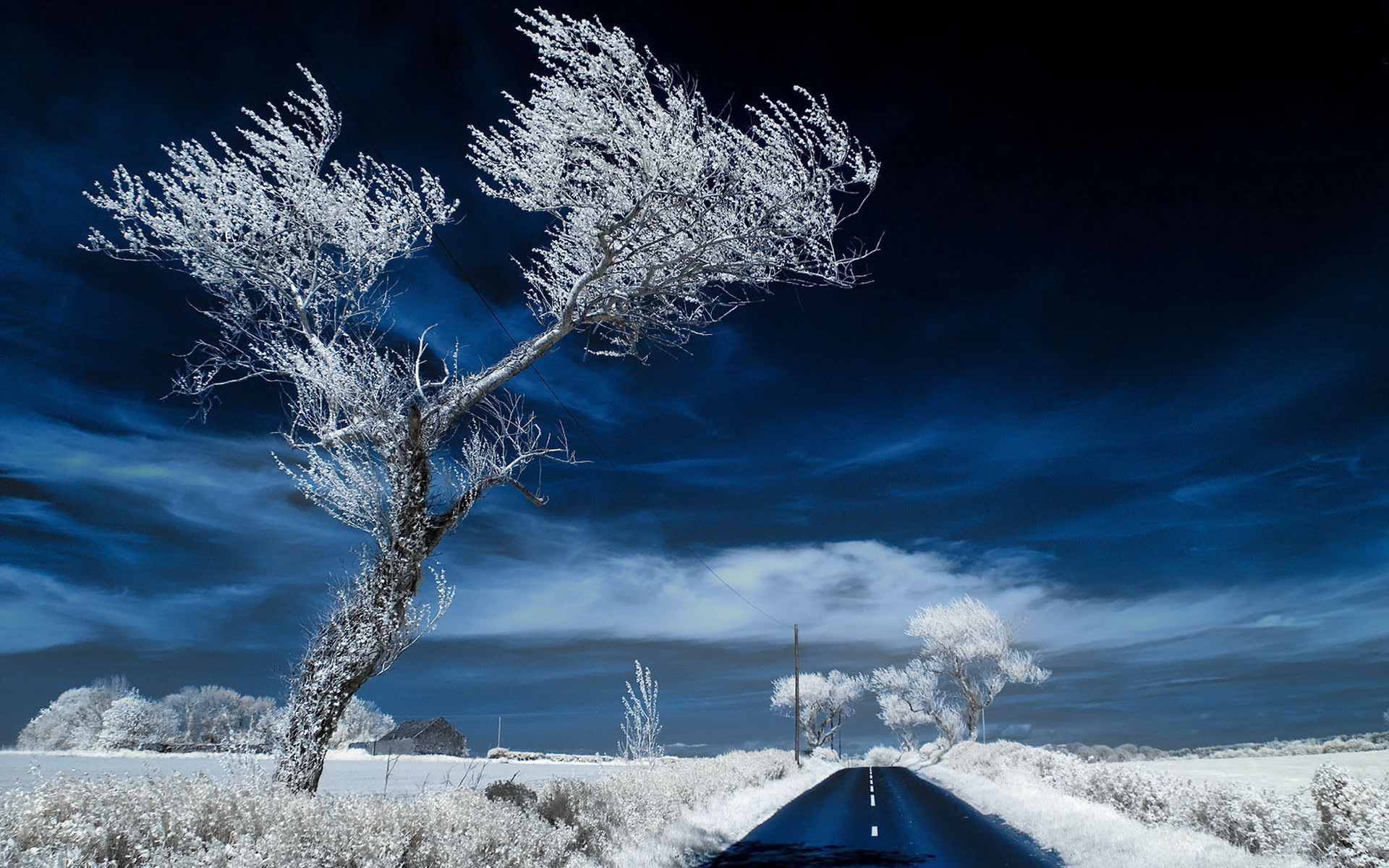 Free download wallpaper Winter, Snow, Road, Tree, Field, Man Made on your PC desktop