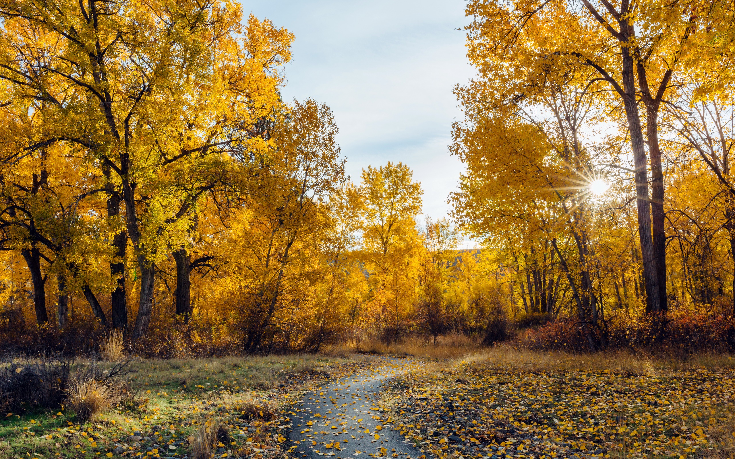 Фото реальные осень