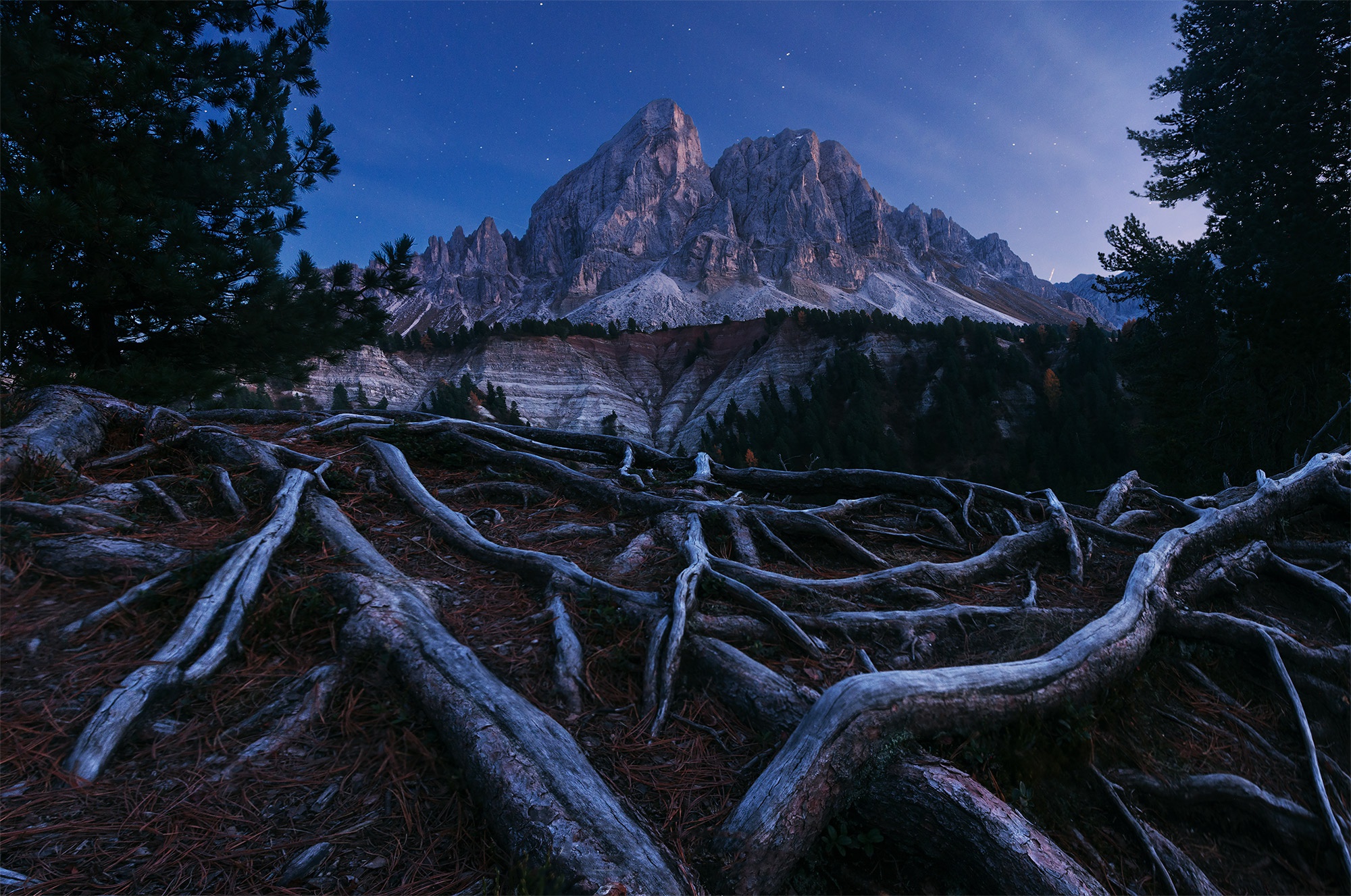 HD wallpaper earth, tree root, forest, mountain, night, roots, starry sky