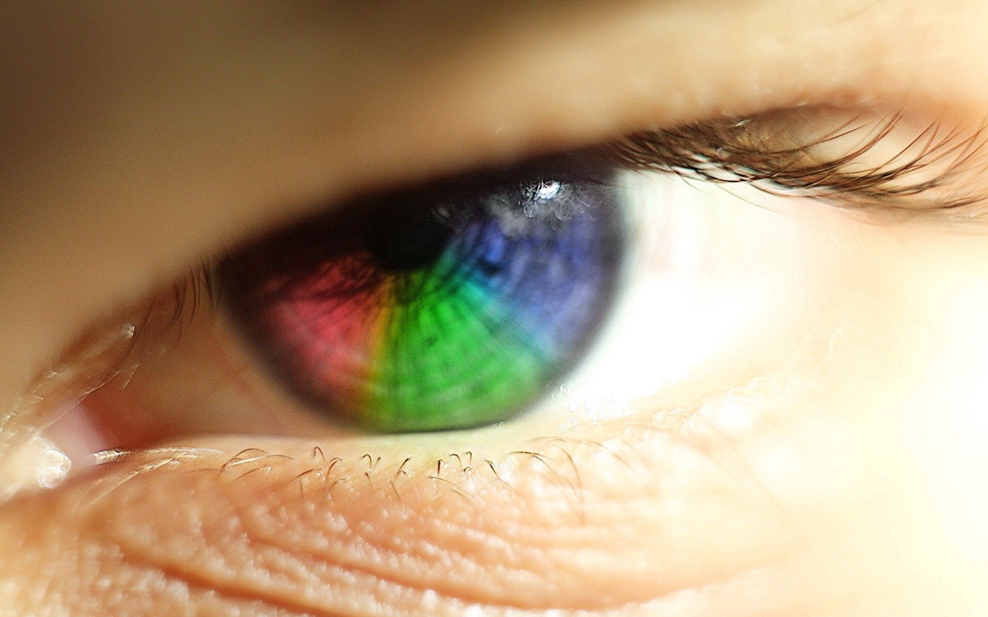rainbow, macro, iridescent, eye, eyelash, eyelashes Full HD