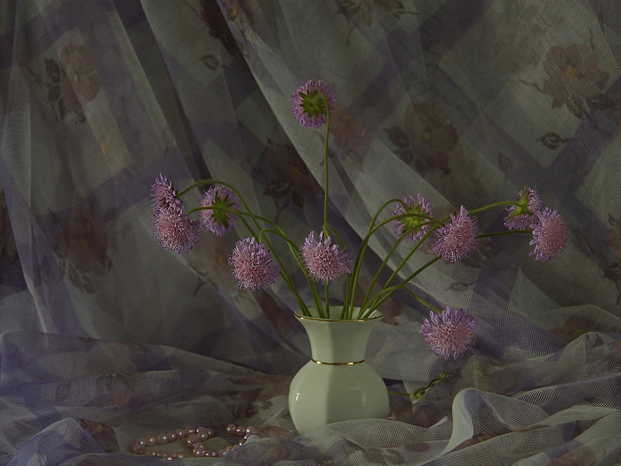 Download mobile wallpaper Landscape, Flowers for free.
