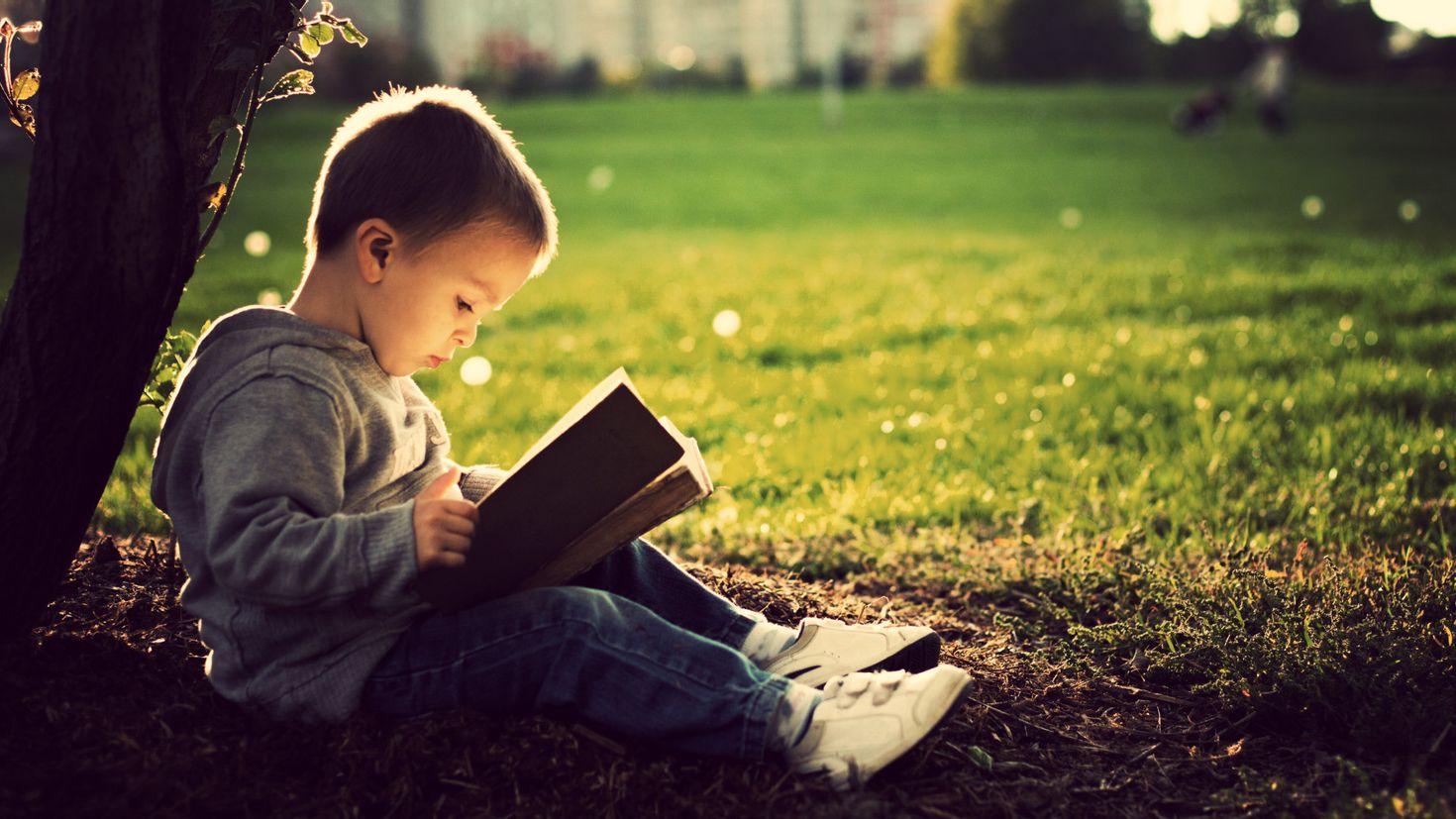 Read book net. Библия для детей. Книги для детей. Книжки для малышей. Мальчик с Библией.