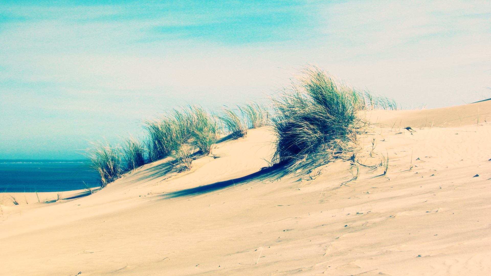 Берег моря песок