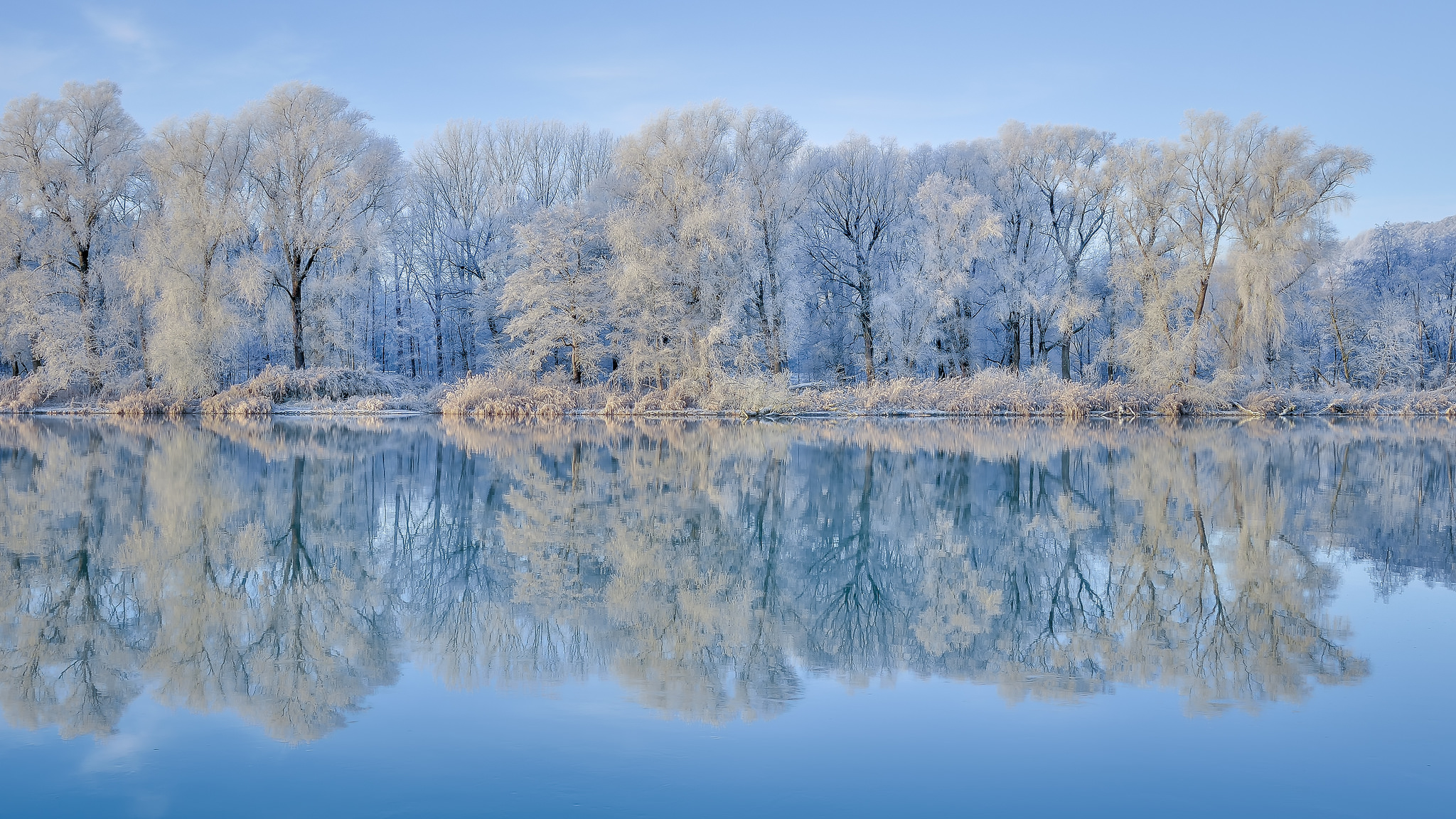 Озеро зима деревья