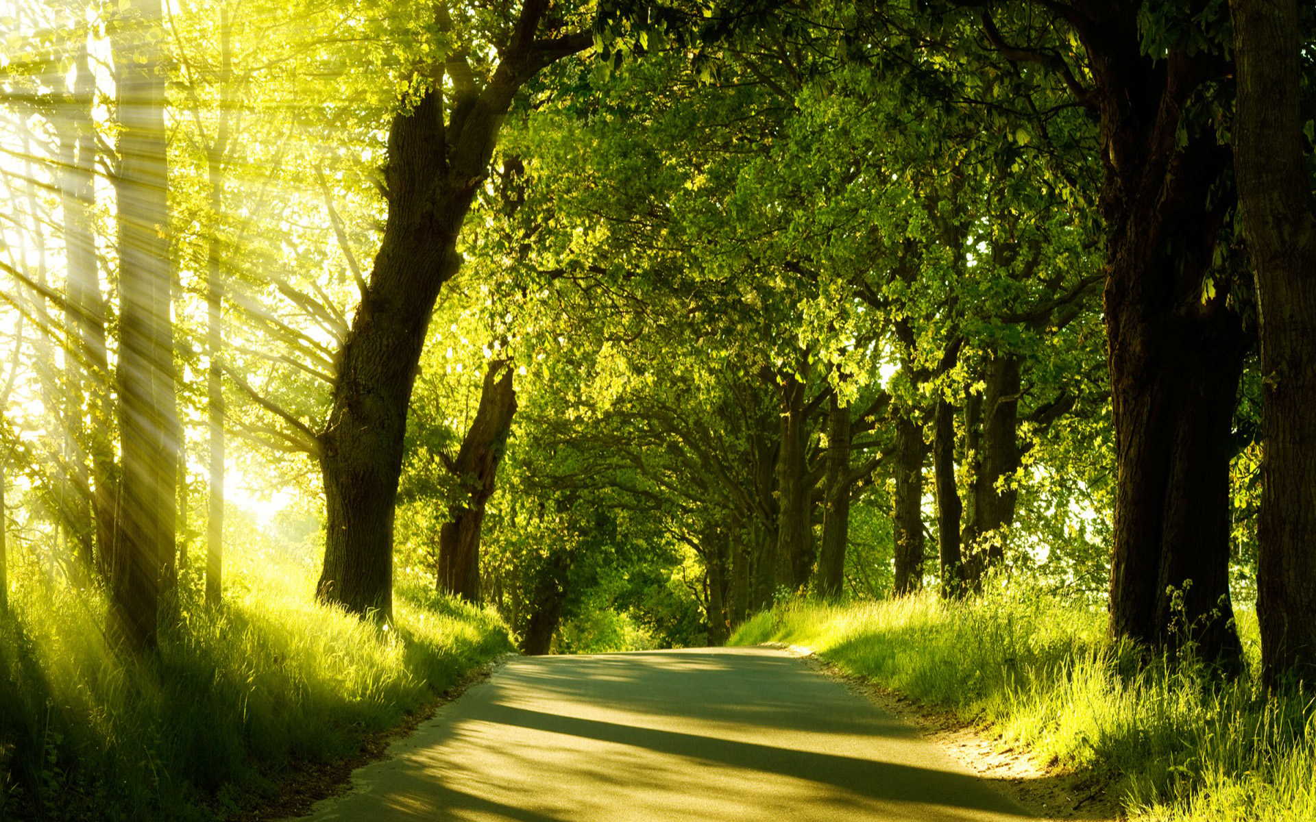Free download wallpaper Road, Photography, Sunbeam on your PC desktop