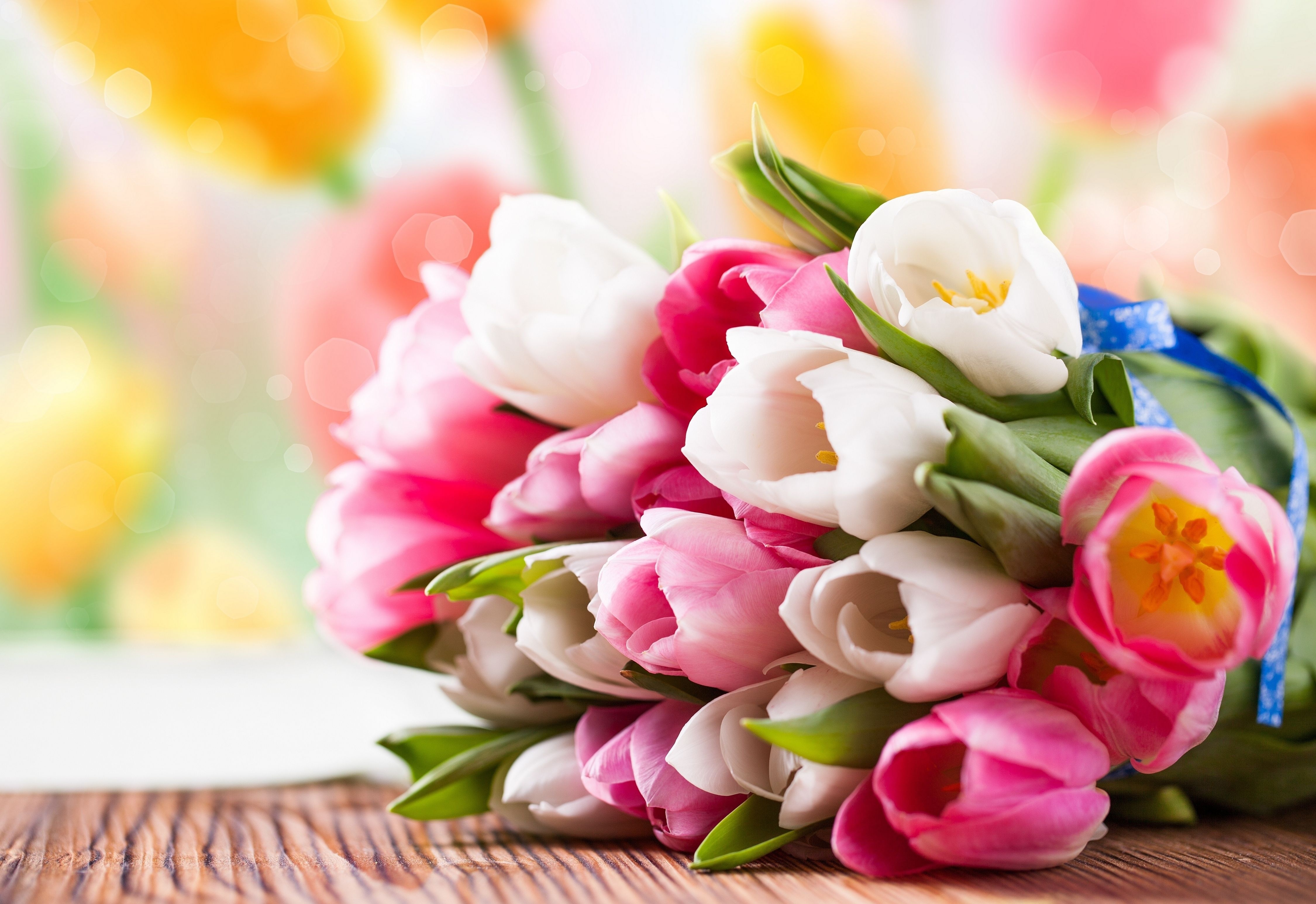 plants, tulips, flowers, bouquets